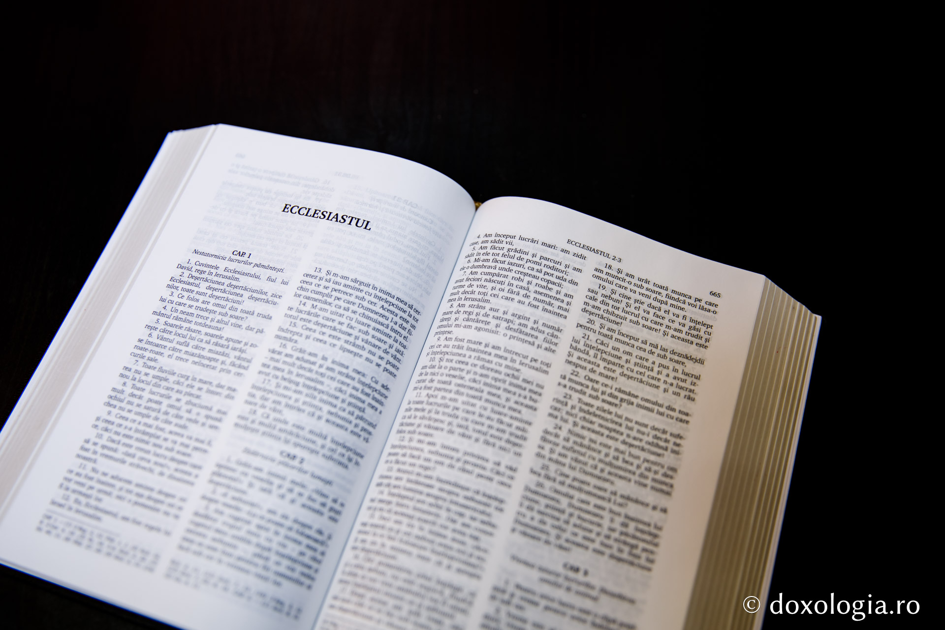Ecclesiastul – Capitolul 9
