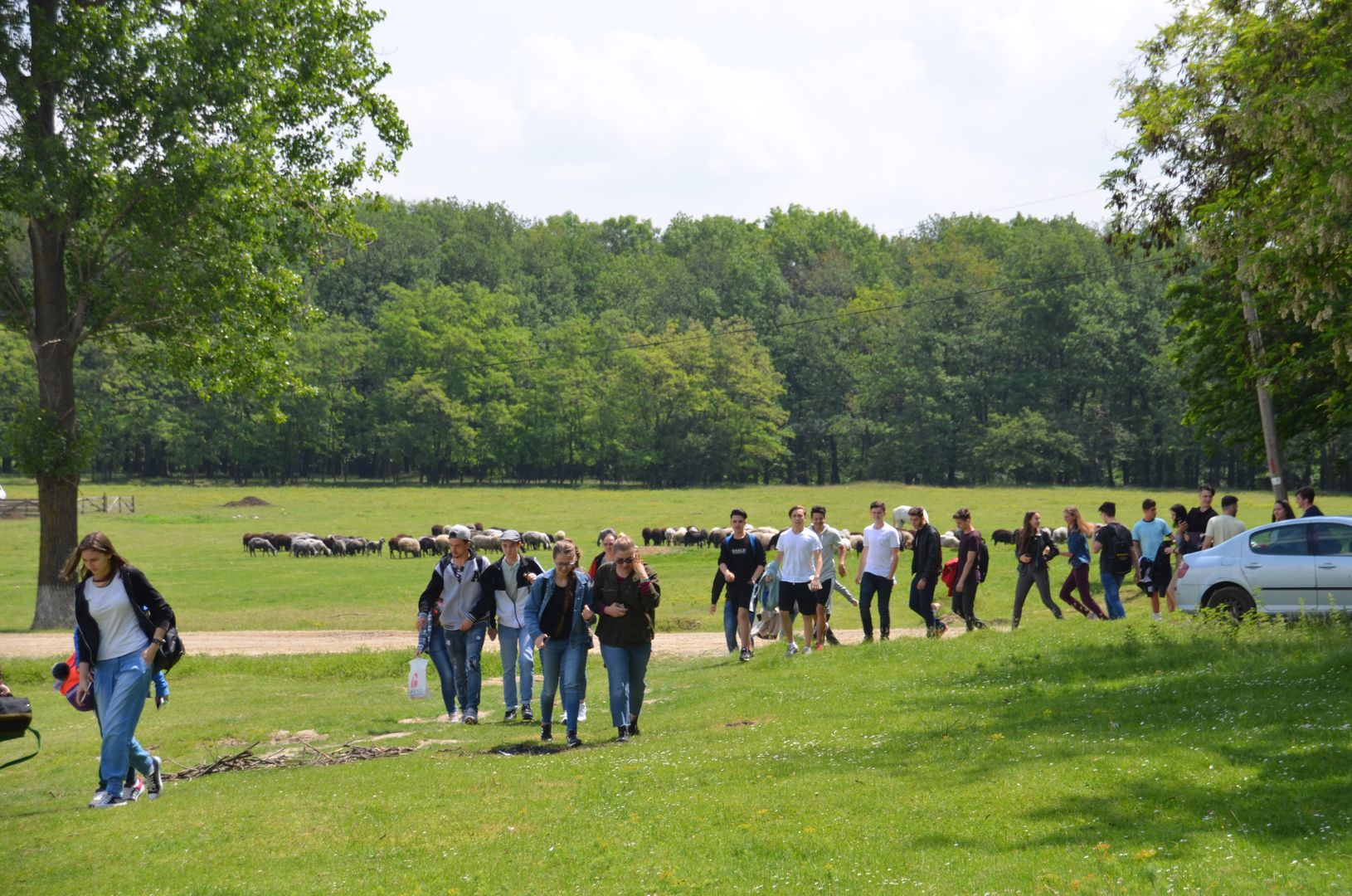 Ieșire câmpenească și bucurie pentru 125 de tineri din Botoșani