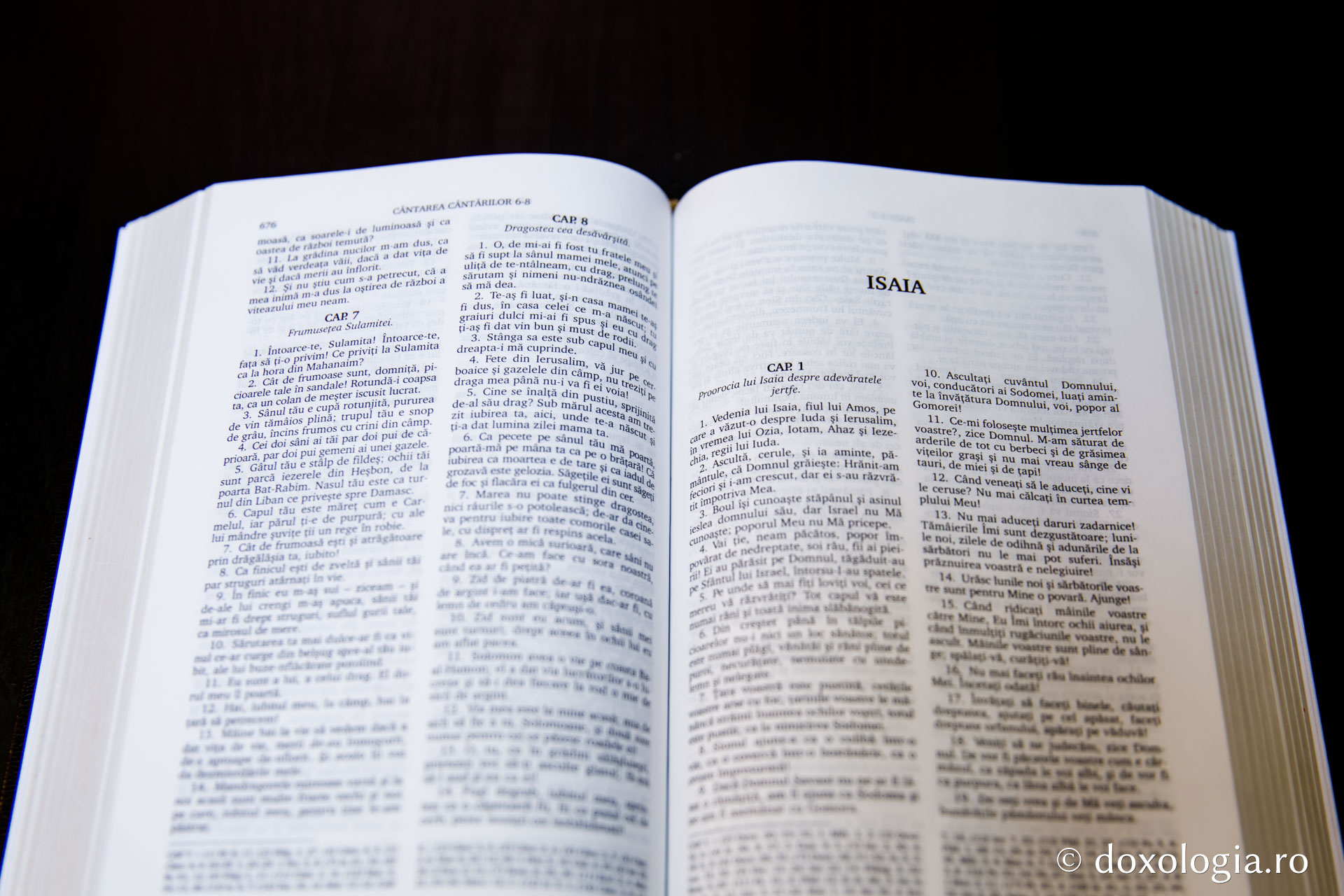 Isaia – Capitolul 31