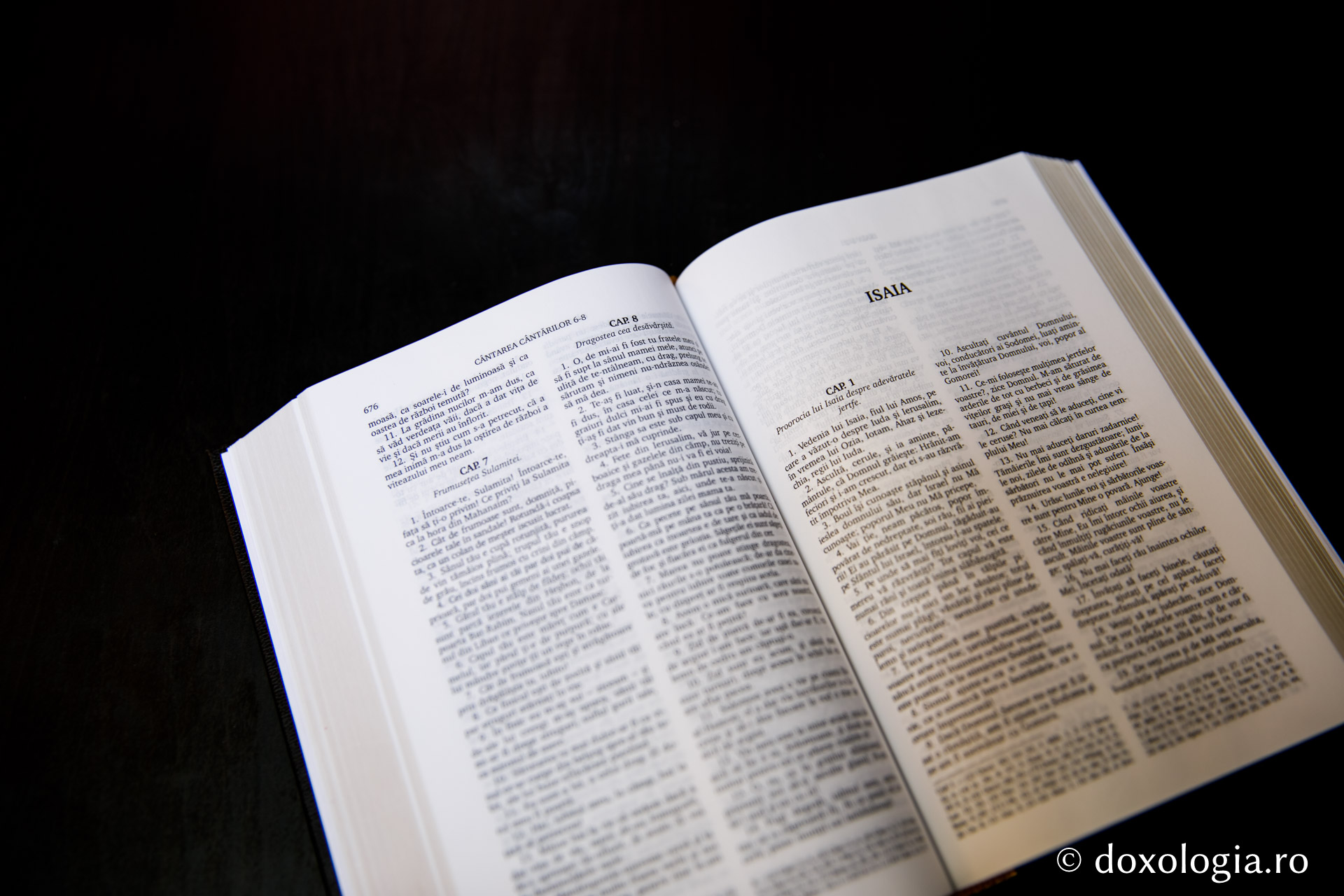 Isaia – Capitolul 21