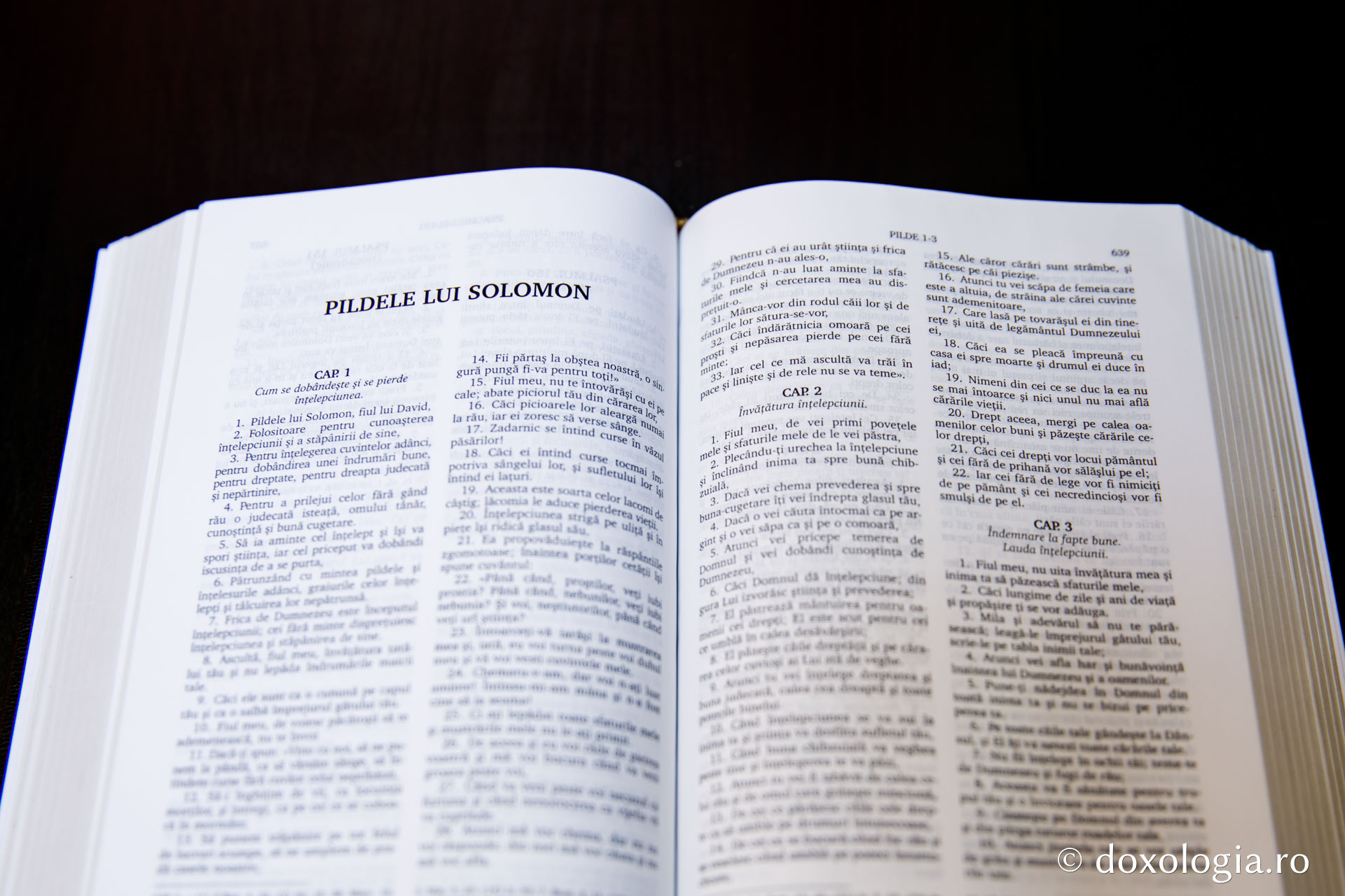 Pildele lui Solomon – Capitolul 7