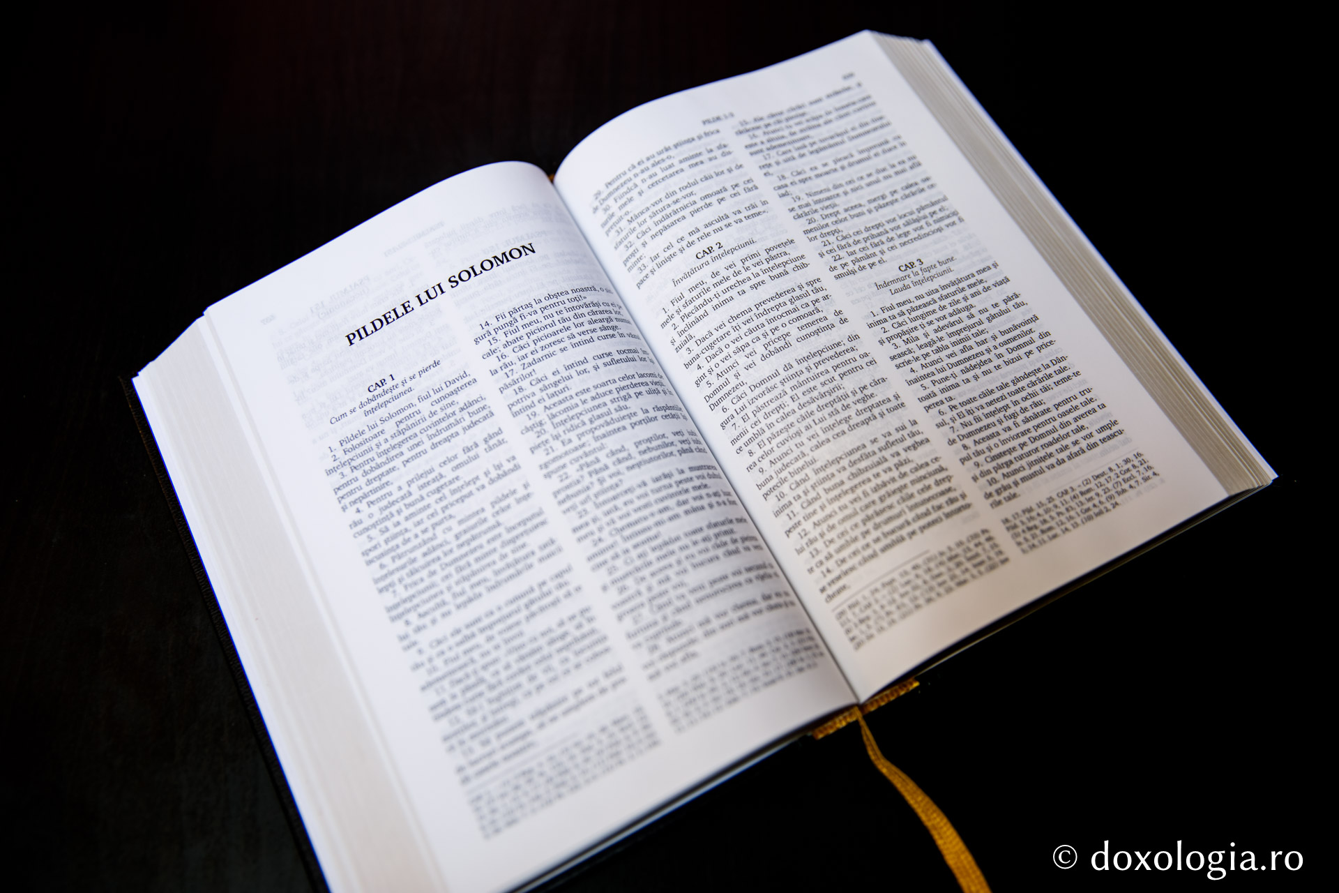 Pildele lui Solomon – Capitolul 26