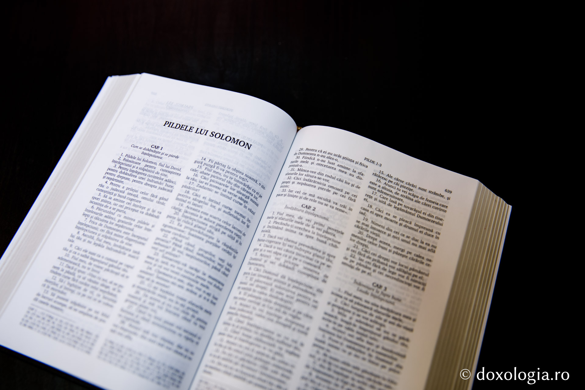 Pildele lui Solomon – Capitolul 12