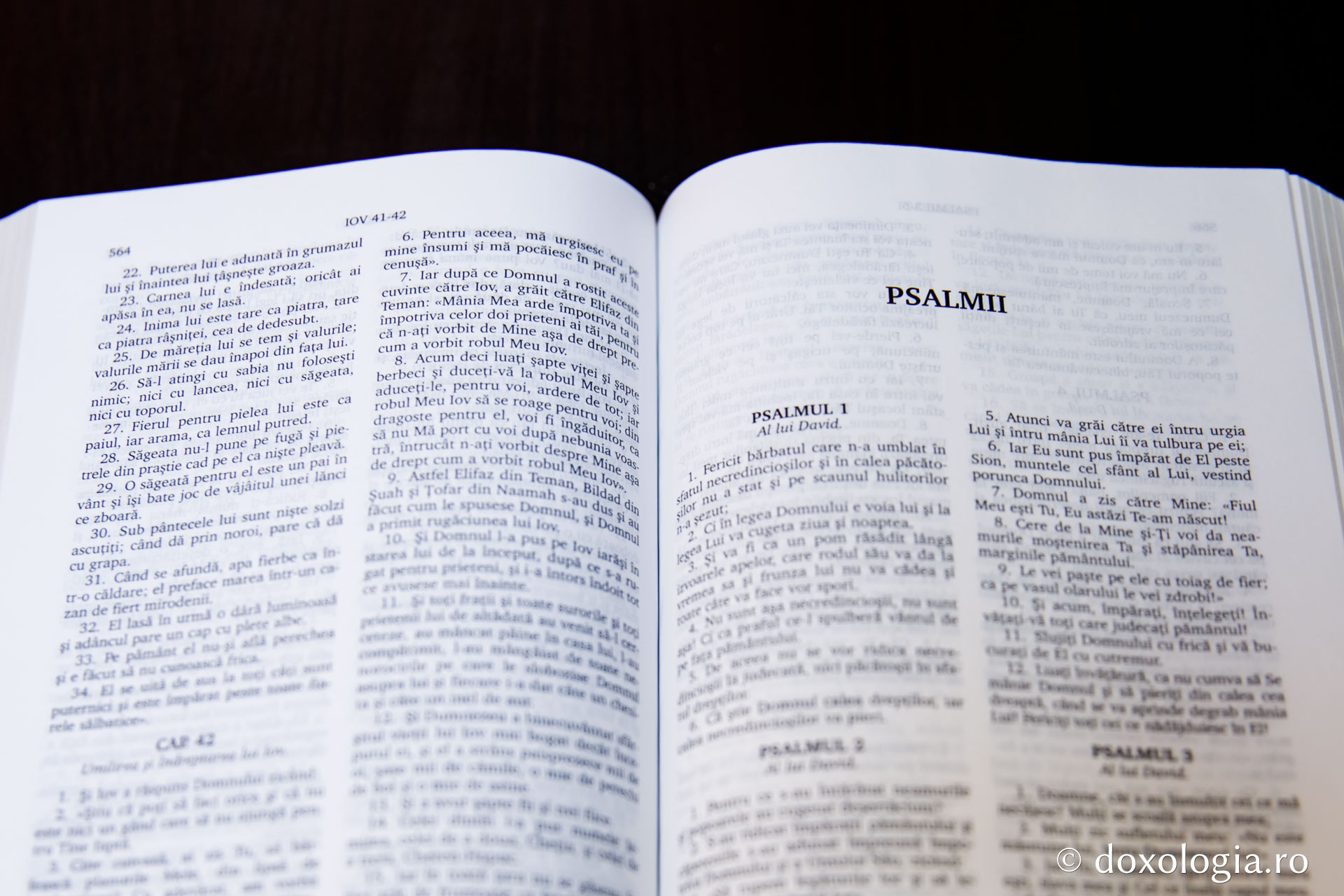 Psalmii – Psalmul 142 | Doxologia