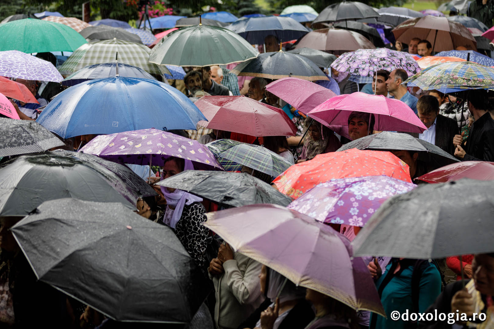Hramul Catedralei Episcopale din Huși: 4 ierarhi au săvârșit Sfânta Liturghie