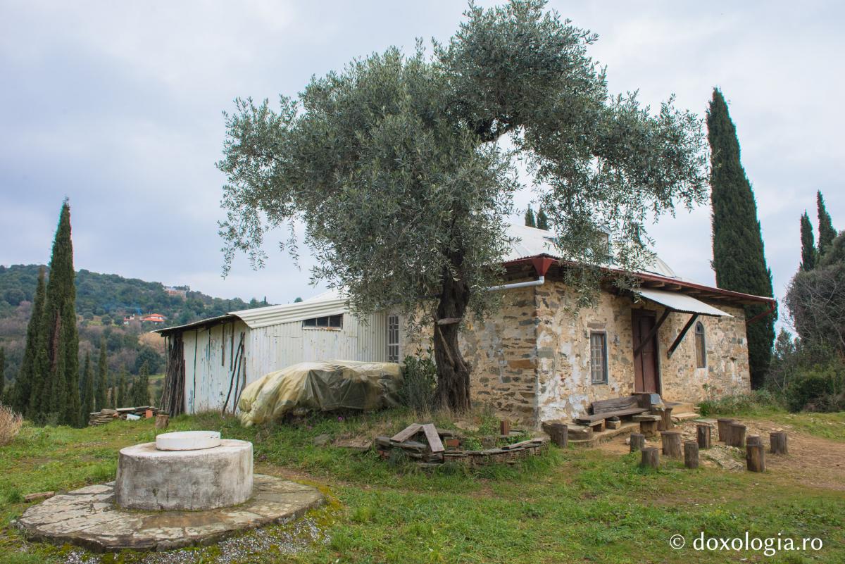 Șocul studentului ateu când a stat de vorbă cu Sfântul Paisie Aghioritul