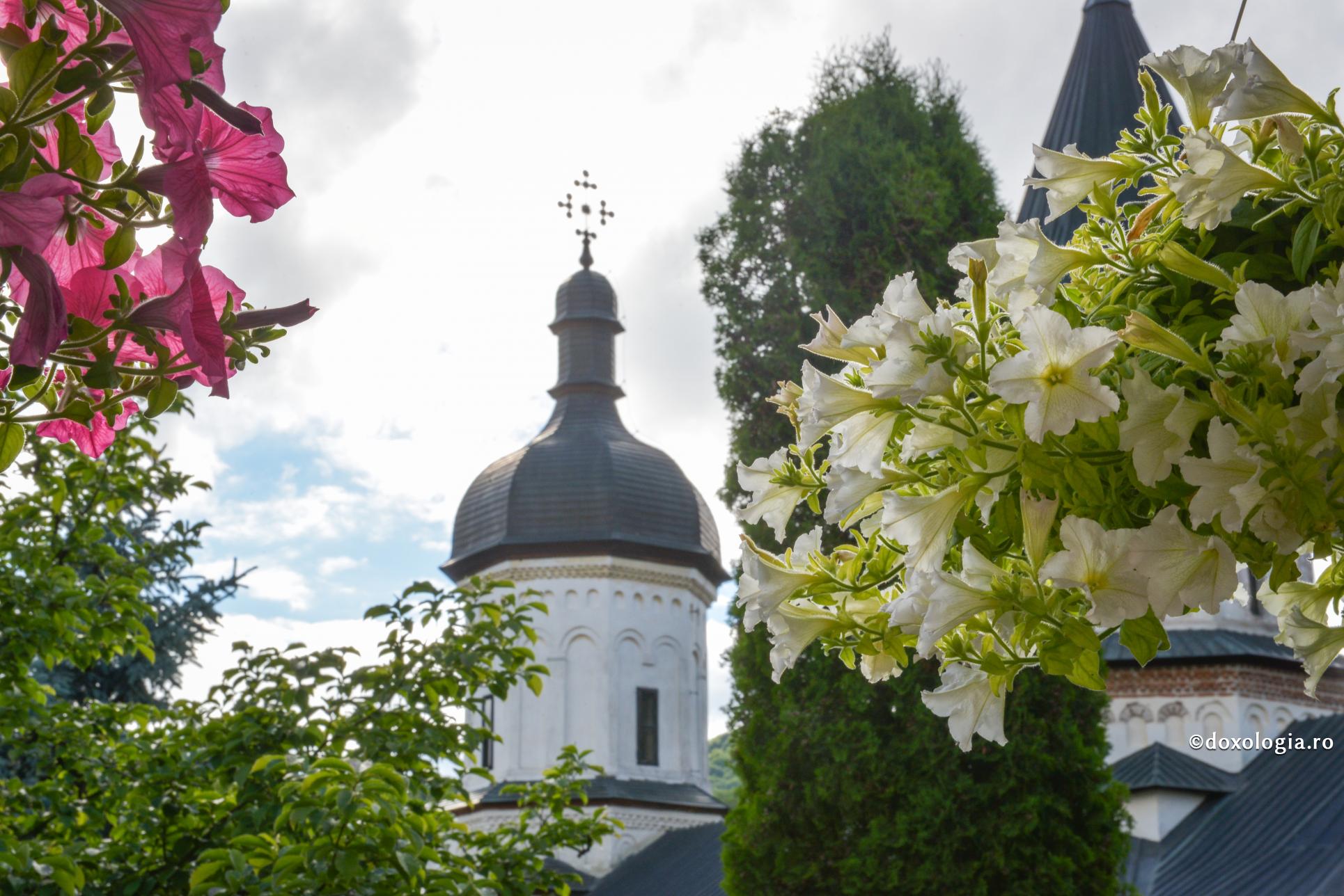 (Video) „Vei primi harismele după măsura în care ai suportat ispitele”