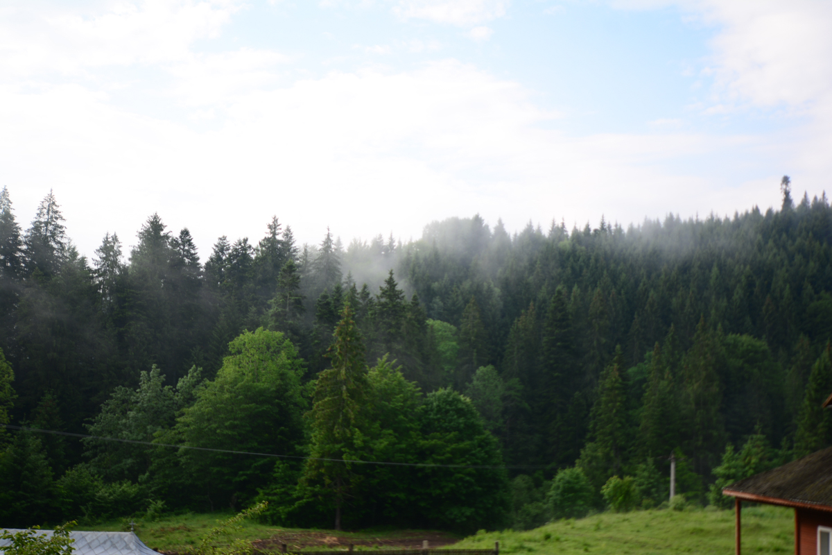 IPS Mitropolit Teofan, la Mănăstirea Tarcău: „Sfinții sunt cei care, prin taina smereniei lor, nu doresc să-l domine pe celălalt”