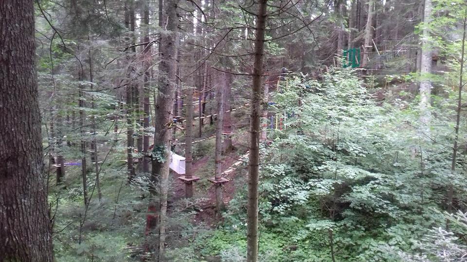 Noutăţile de anul acesta ale Taberei „Floare de colţ” de la Durău