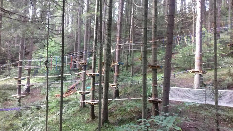 Noutăţile de anul acesta ale Taberei „Floare de colţ” de la Durău