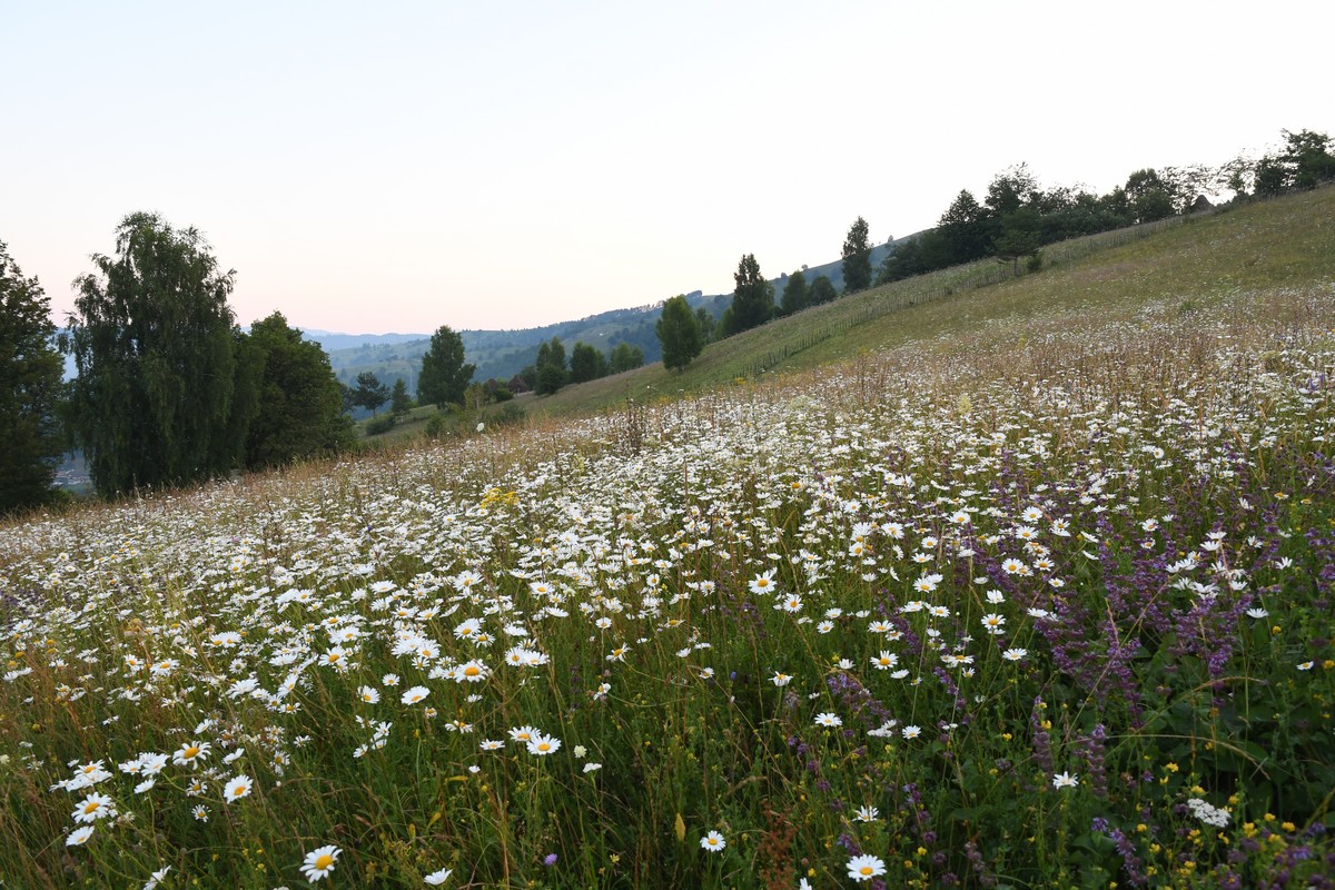Tabără de fotografie la Buhalniţa-Neamţ, la final