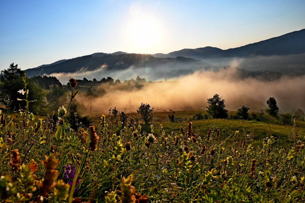 Tabără de fotografie la Buhalniţa-Neamţ, la final
