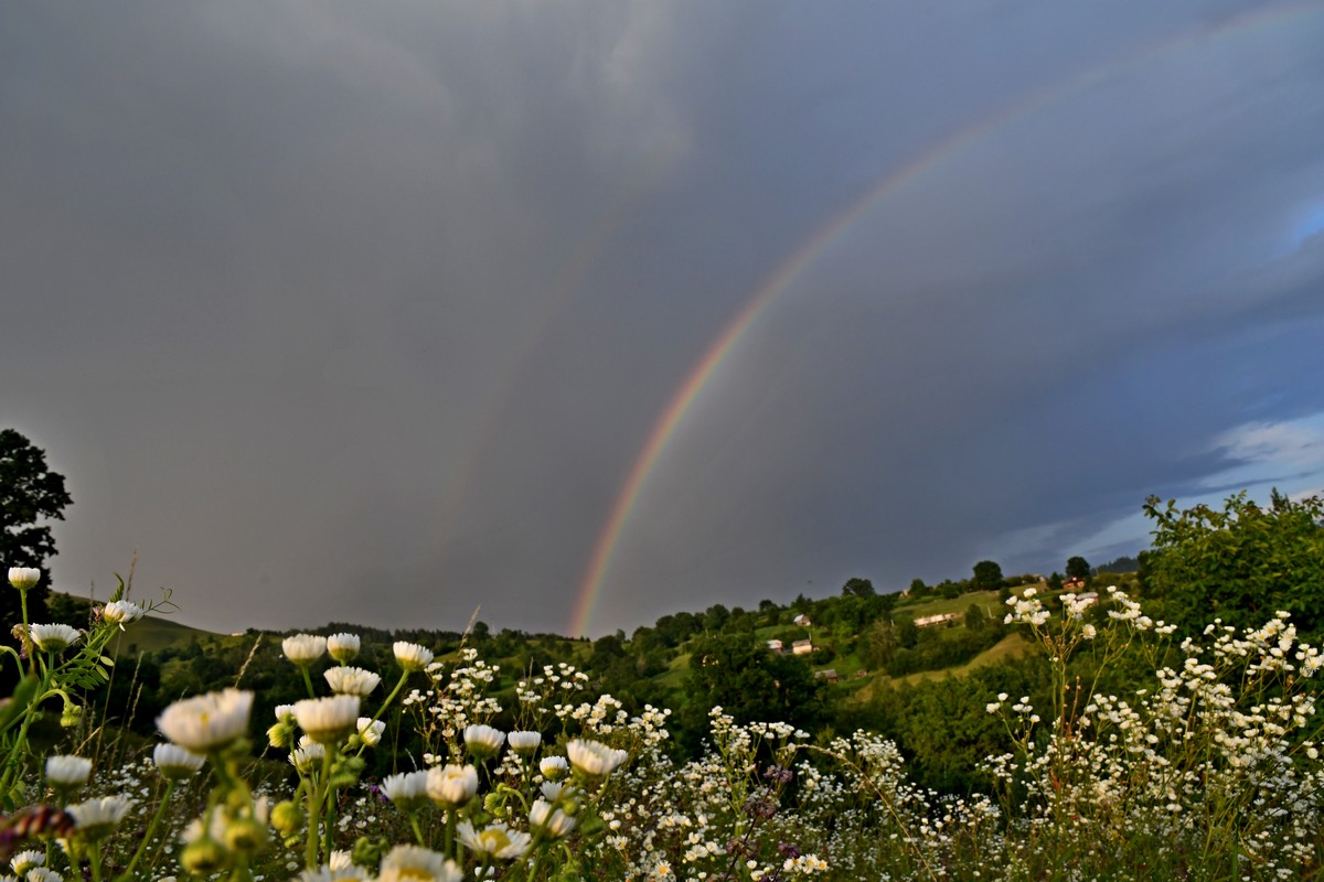 Tabără de fotografie la Buhalniţa-Neamţ, la final