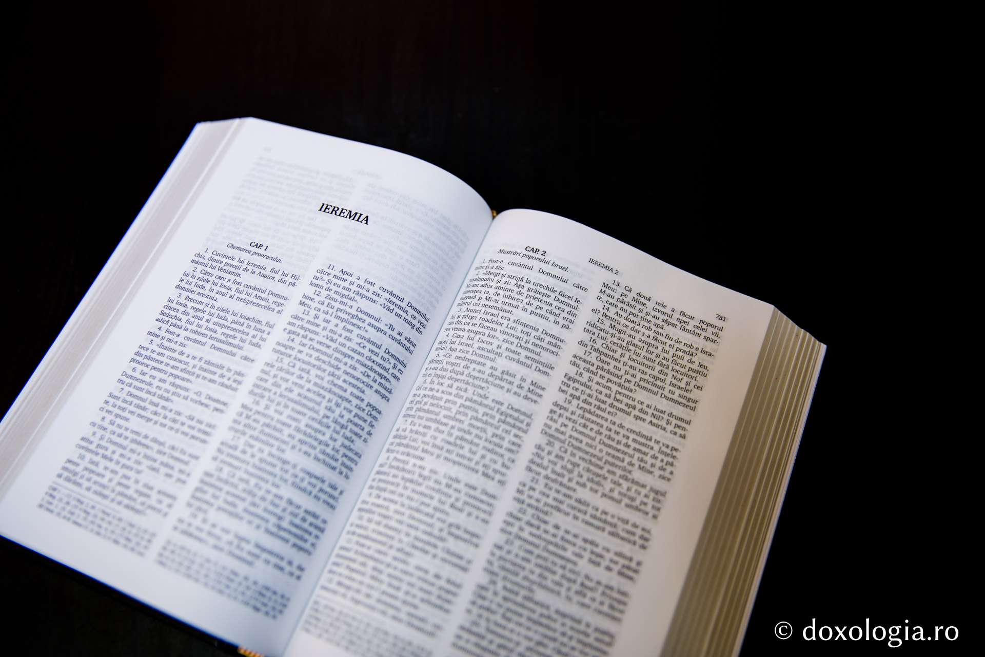 Ieremia – Capitolul 41