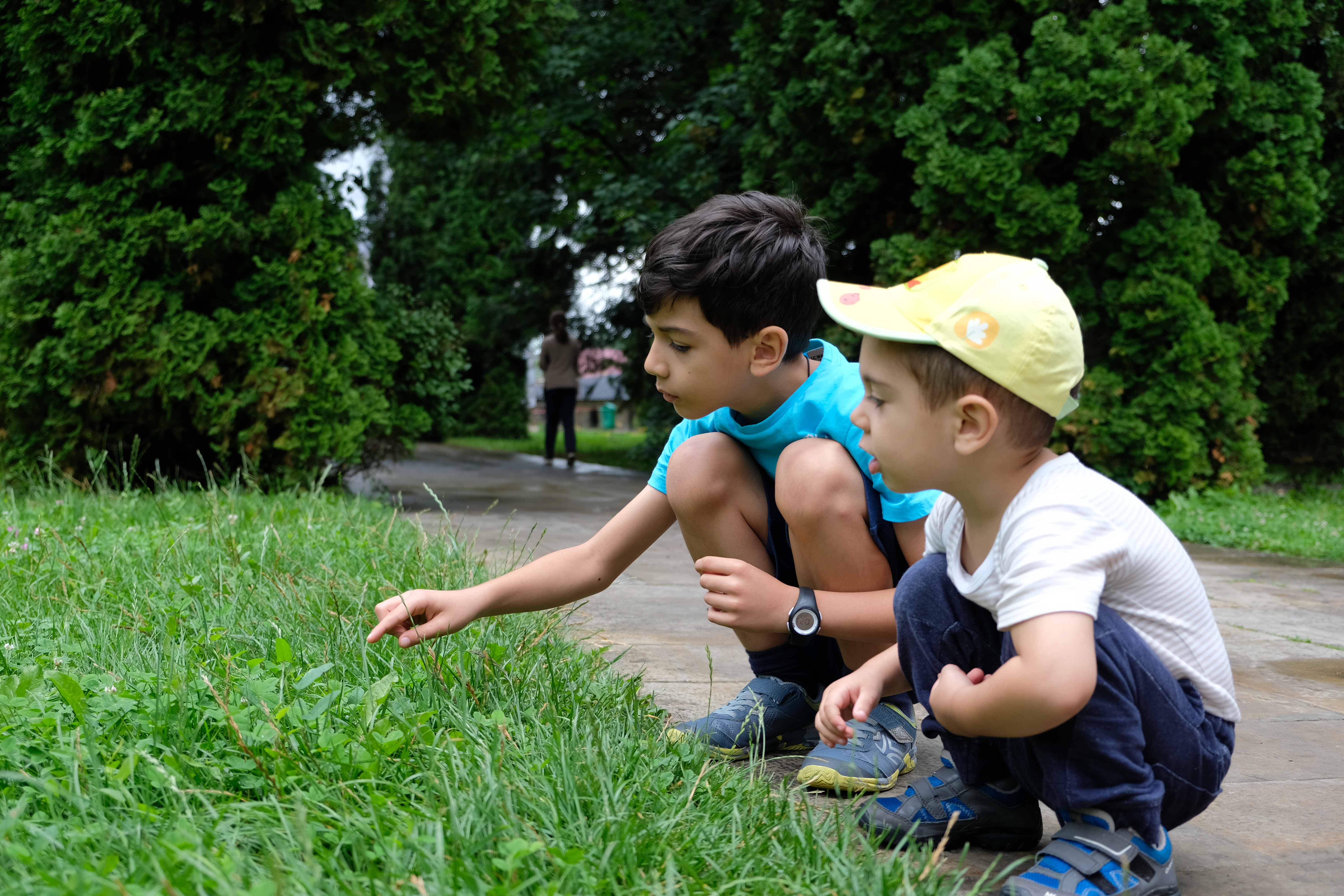 Tabăra tinerelor familii din Europa de Nord, în nordul României Tabăra tinerelor familii din Europa de Nord, în nordul României