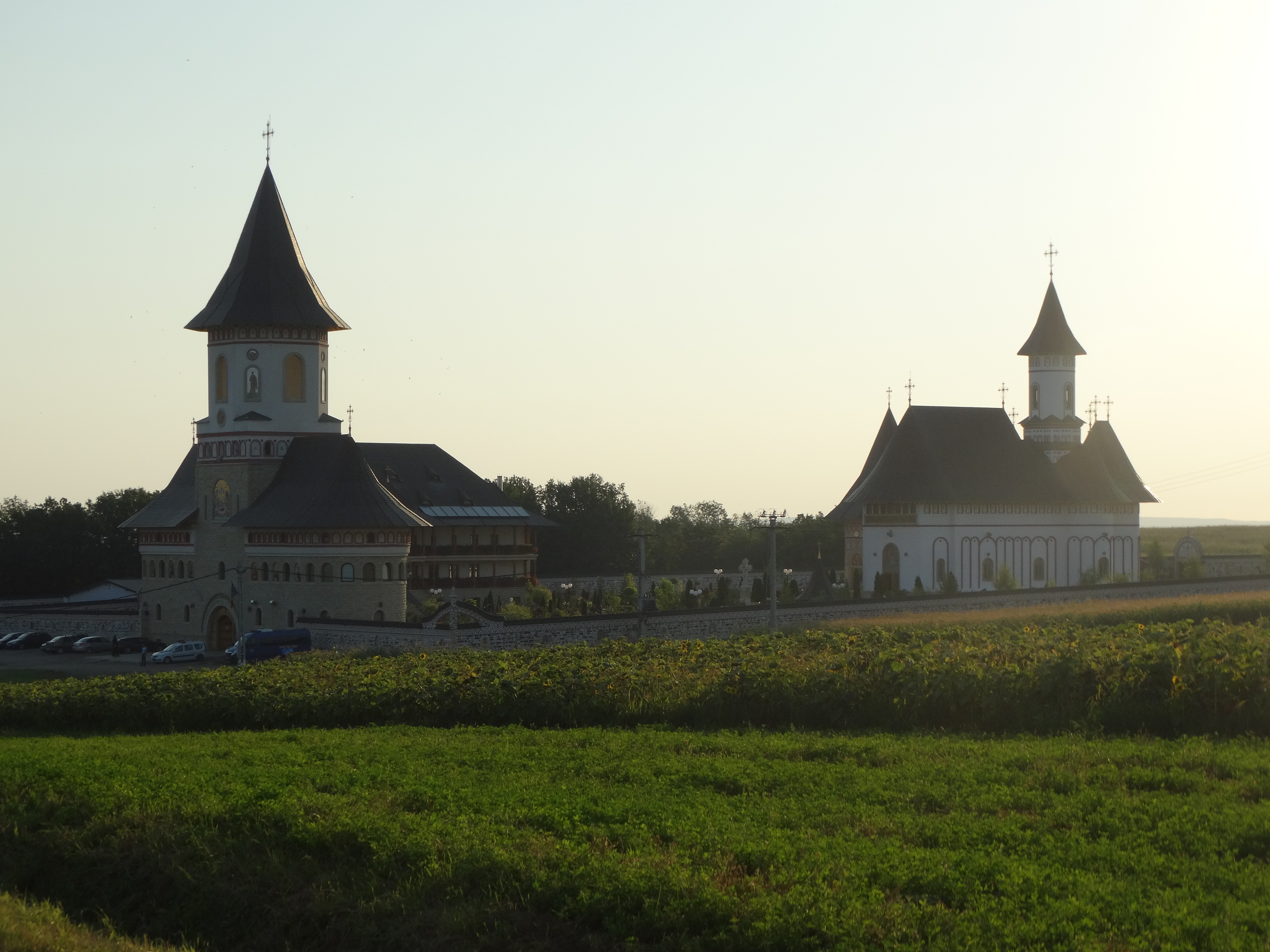 PS Macarie: „Foarte multe familii se destramă zi de zi, cu drame uriașe, sub ochii îndurerați ai Maicii Domnului”