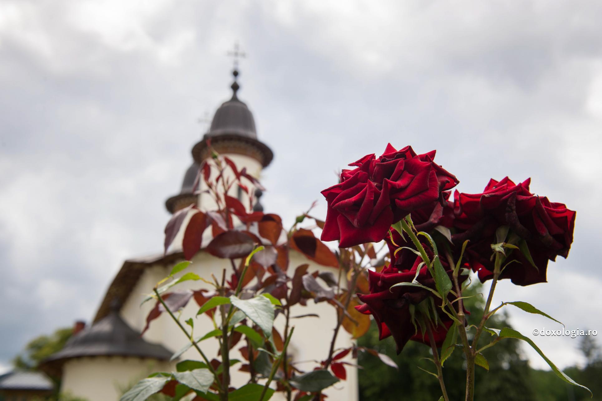 „Schimbați-vă perspectiva cu care priviți lumea. Libertatea este una spirituală și ea se câștigă prin virtute”