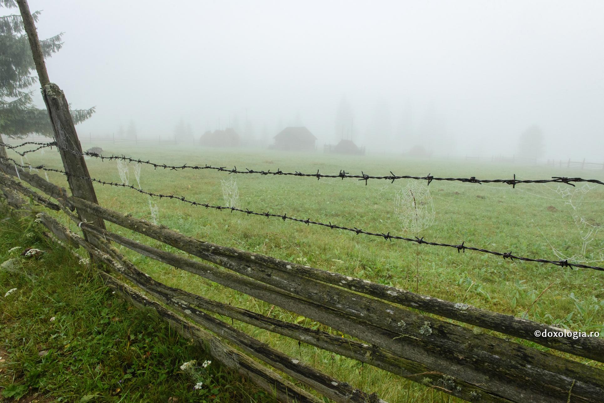 (Video) Cum să ieșim din capcana dependențelor emoționale?