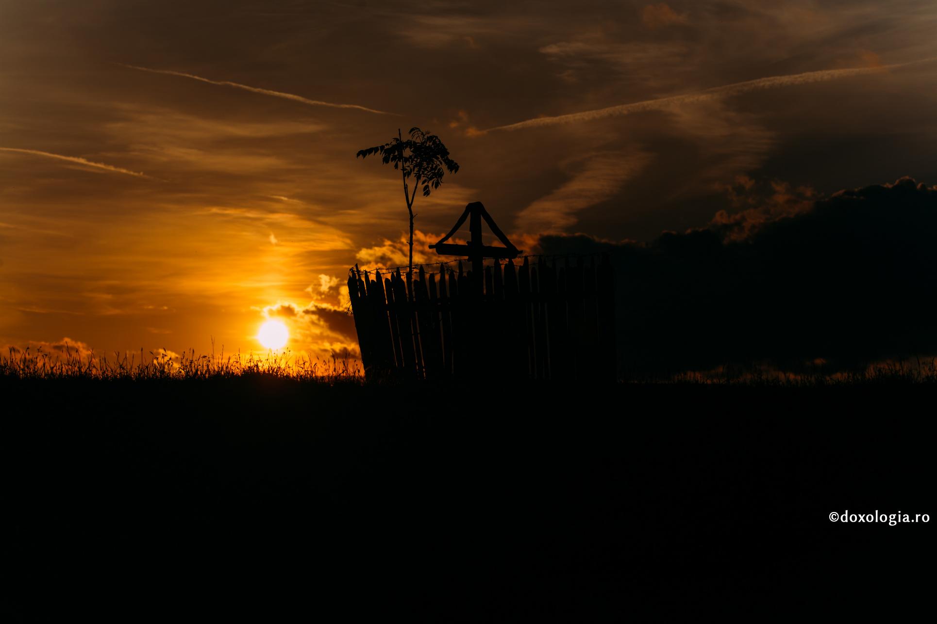 (Video) Cum ne învață Părintele Sofronie de la Essex să ieșim din capcana dependențelor emoționale