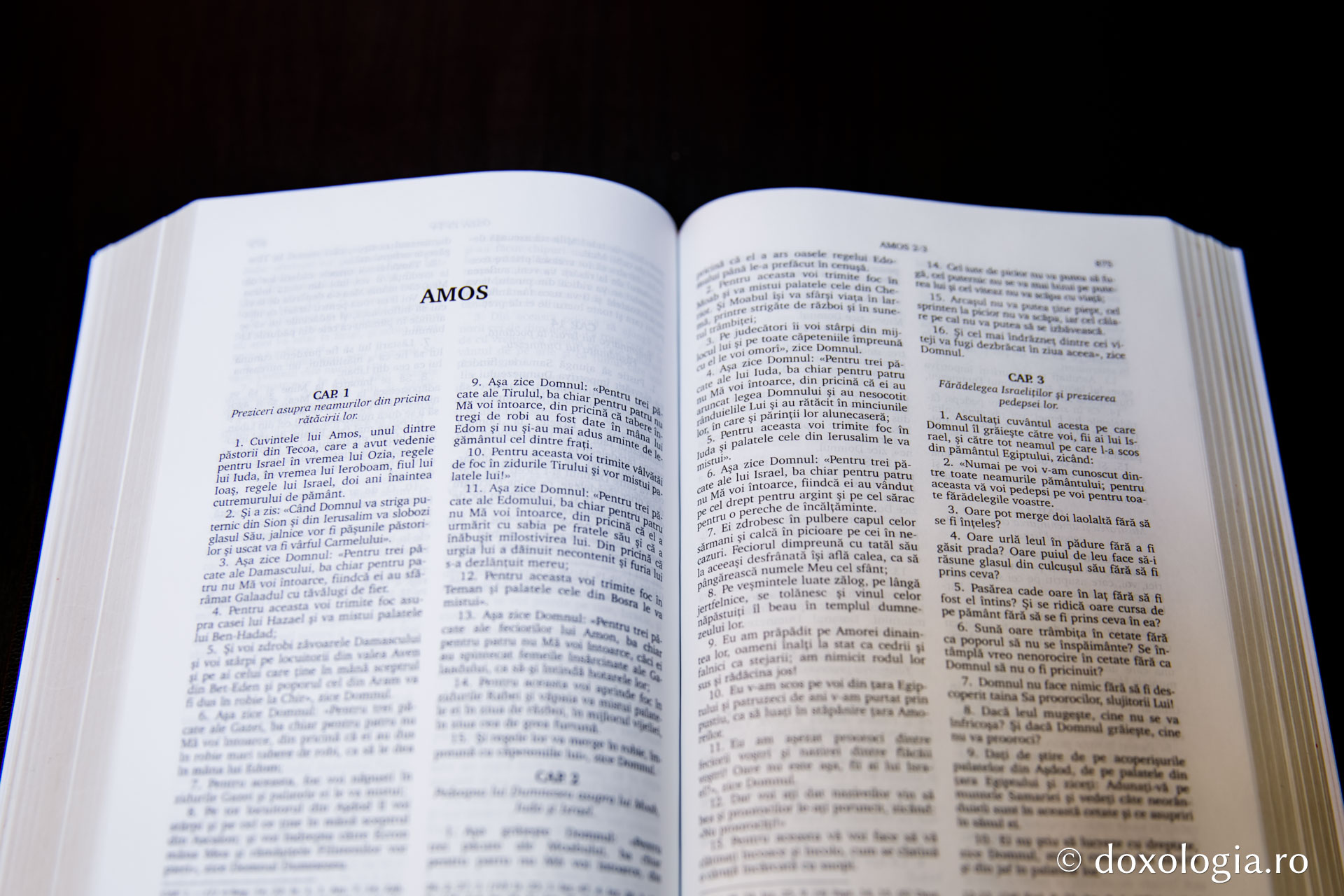 Amos – Capitolul 4