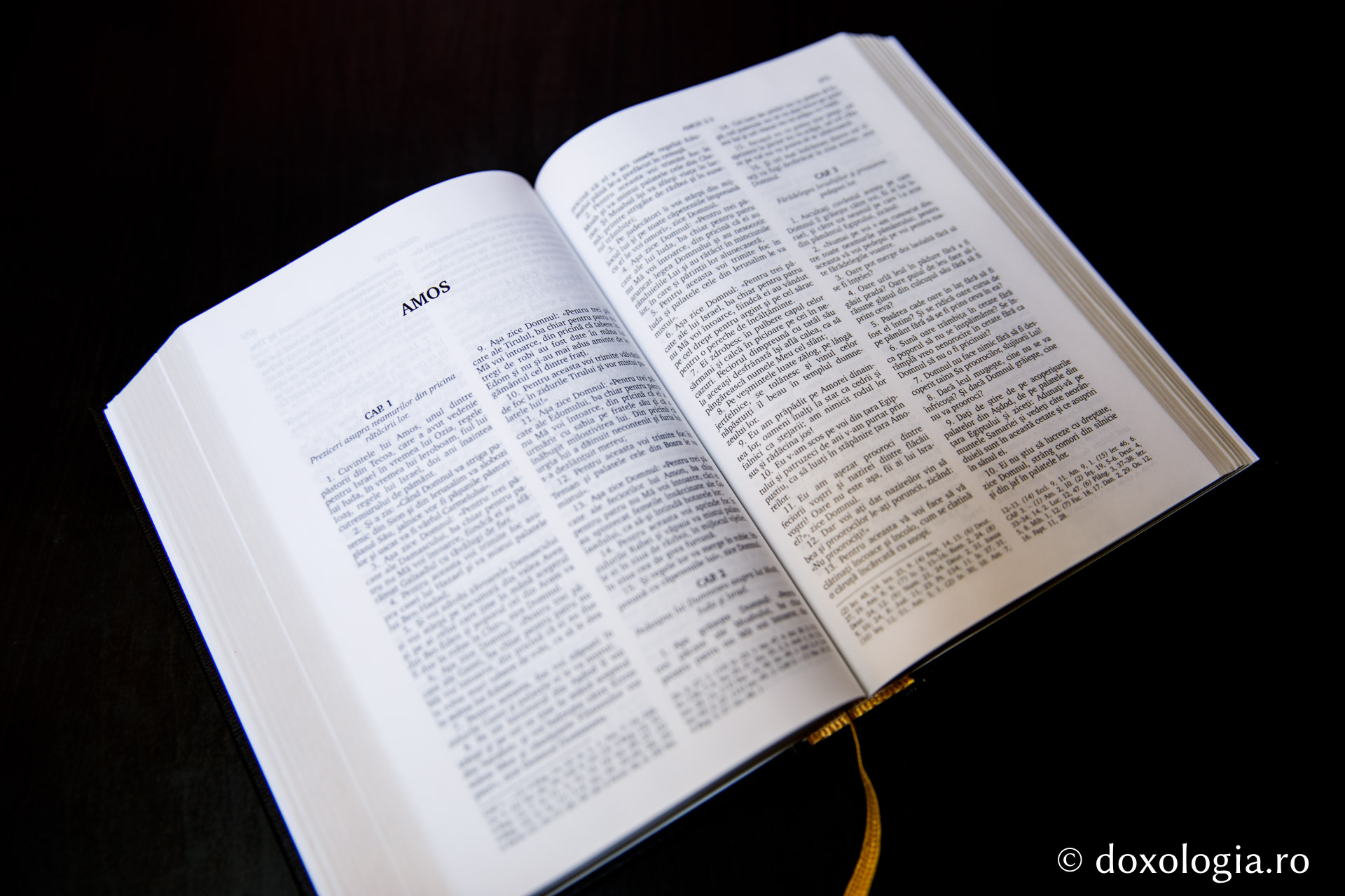 Amos – Capitolul 8
