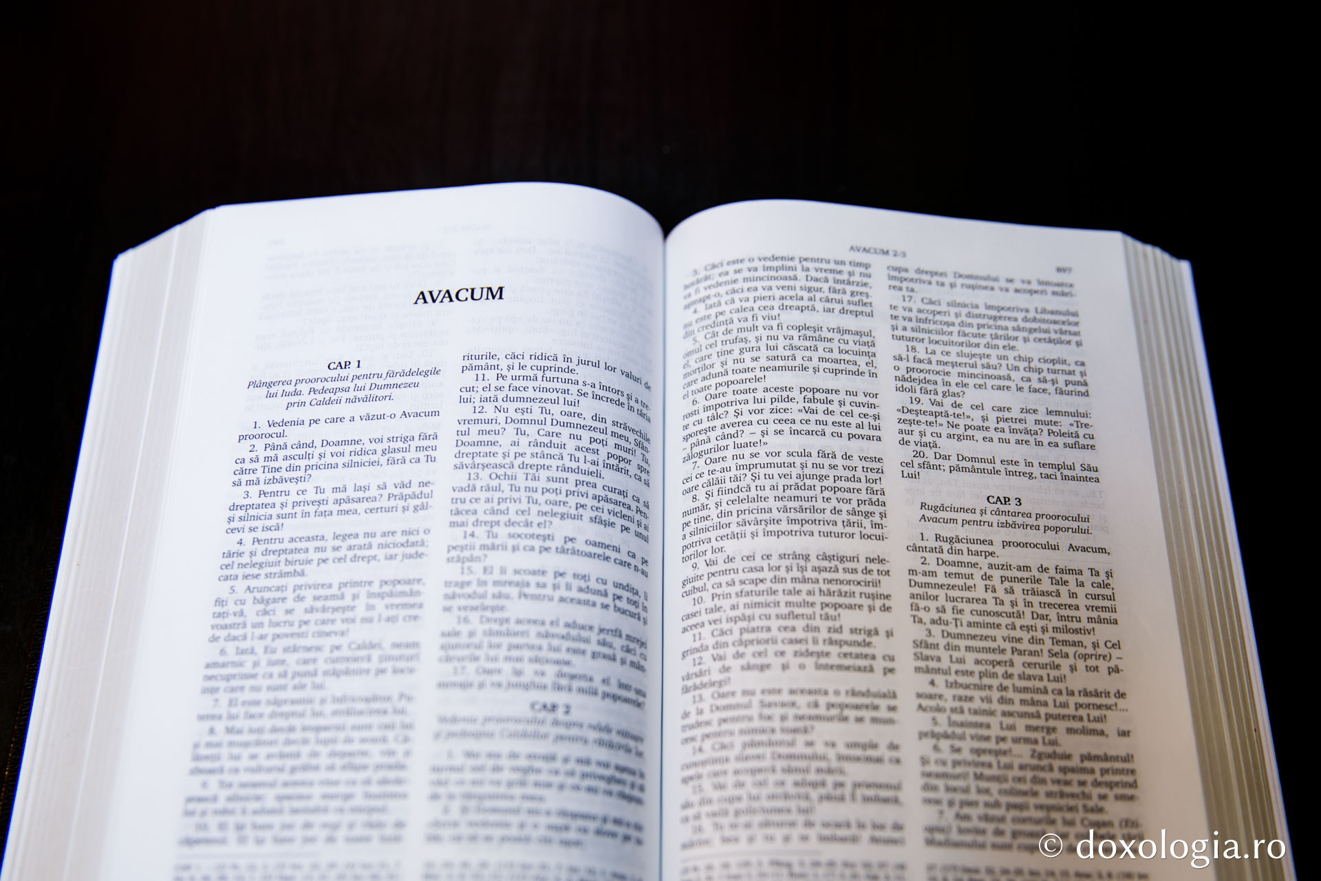 Avacum – Capitolul 1