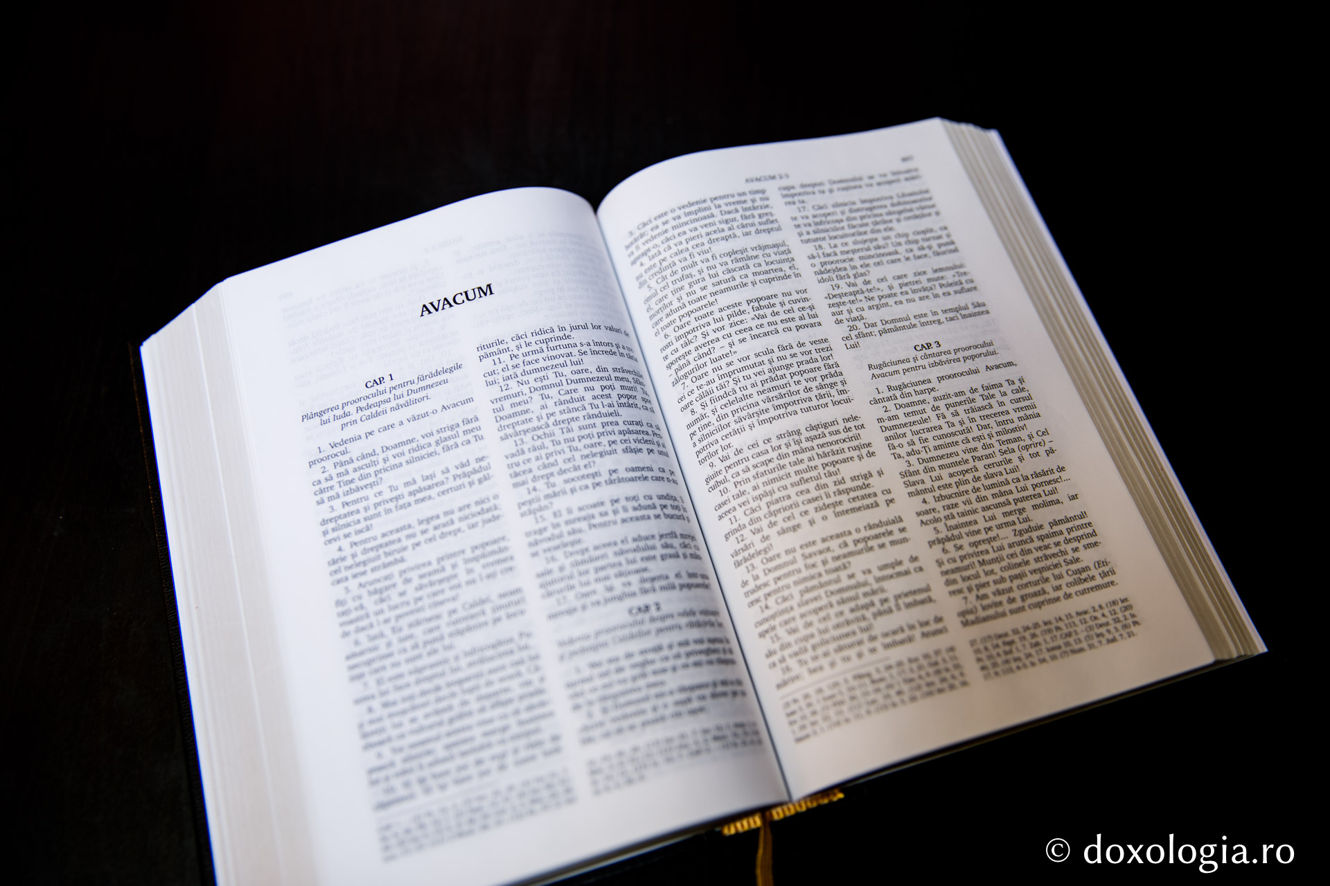 Avacum – Capitolul 2