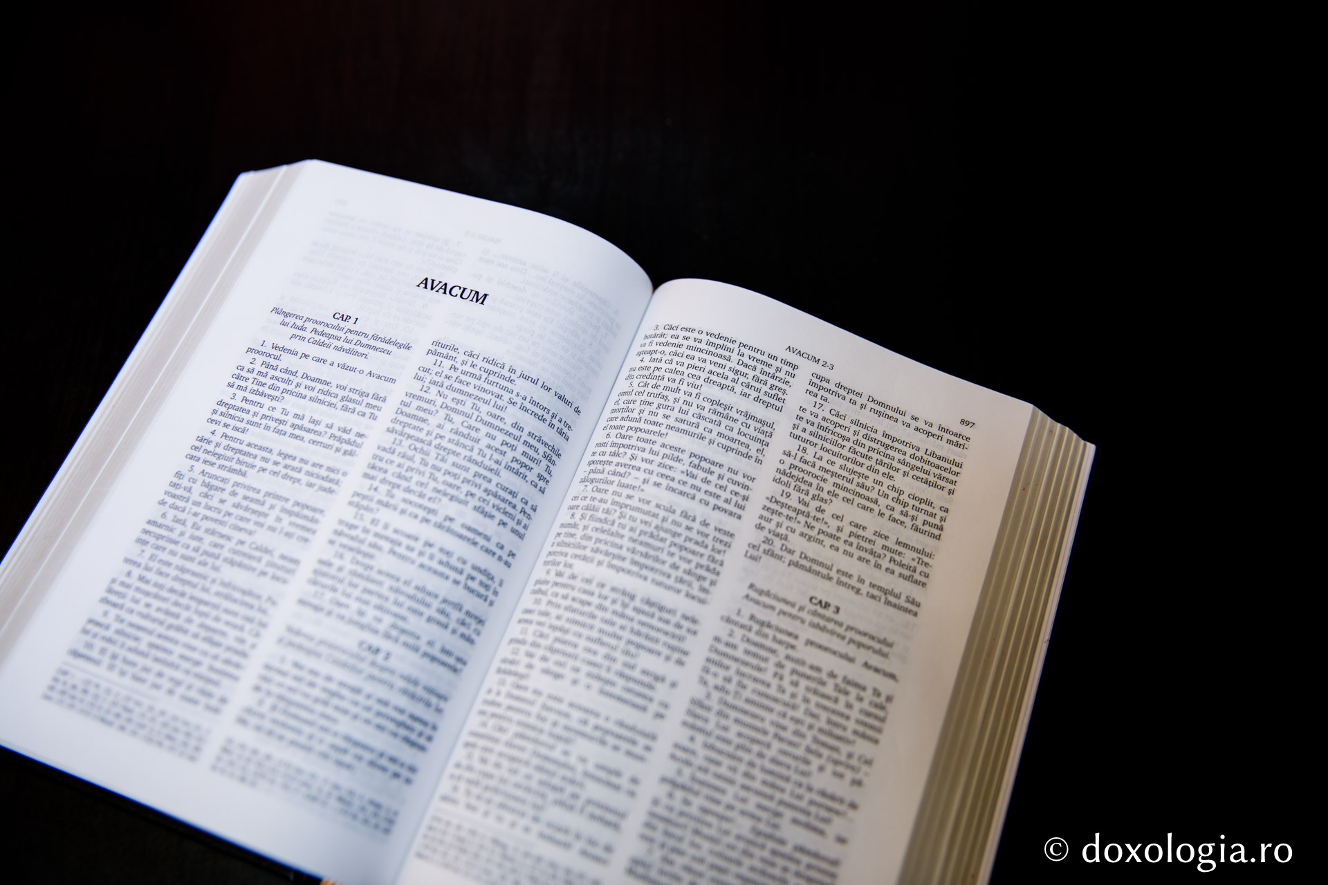 Avacum – Capitolul 3