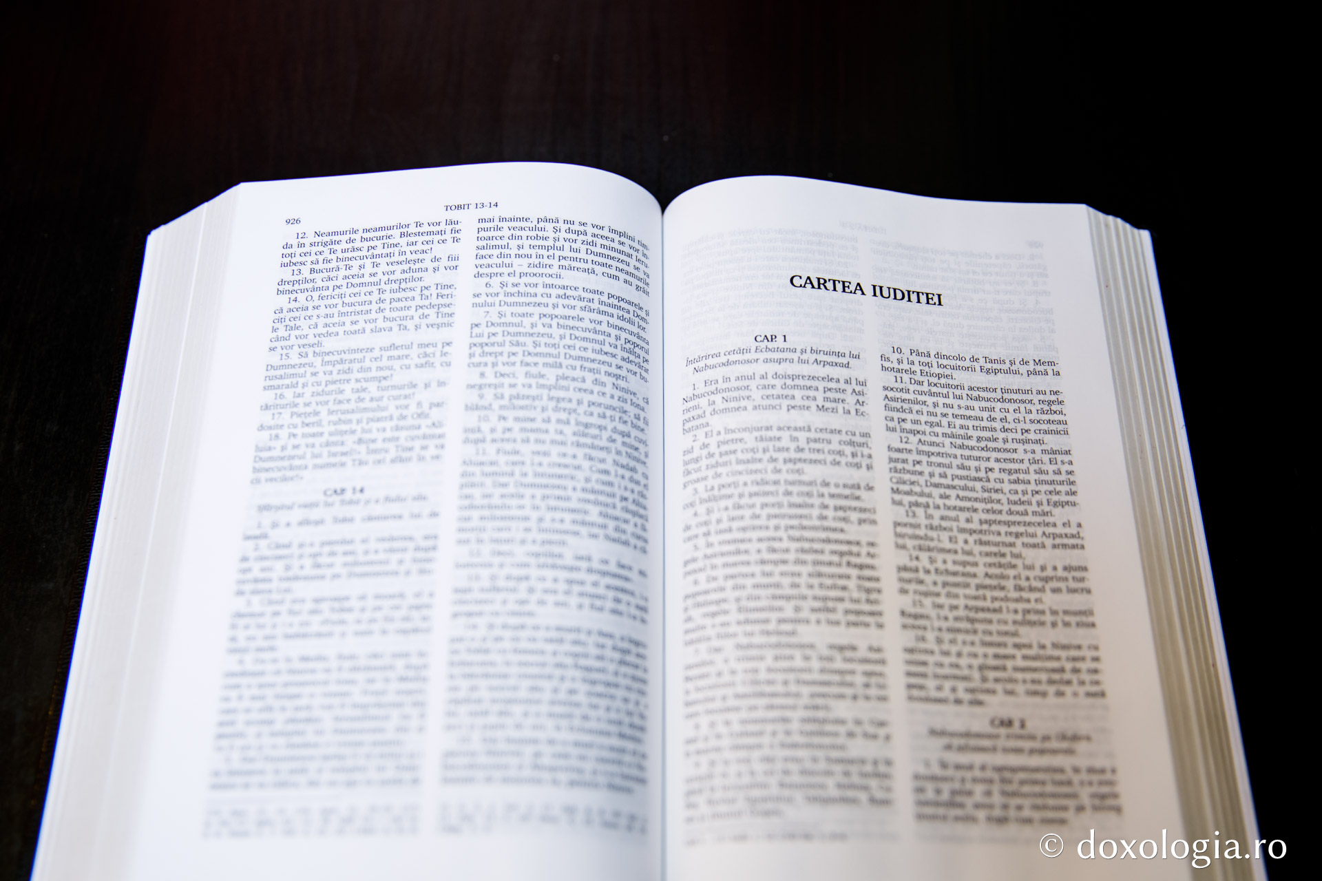 Cartea Iuditei – Capitolul 16