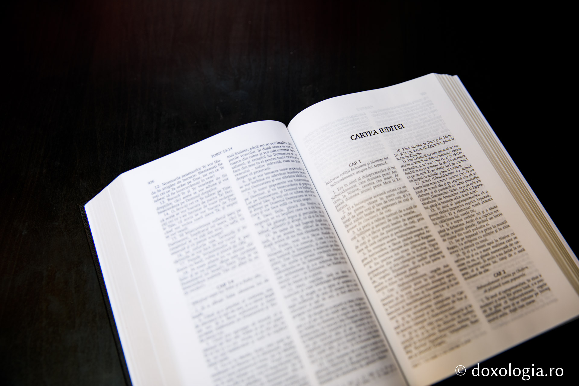 Cartea Iuditei – Capitolul 9