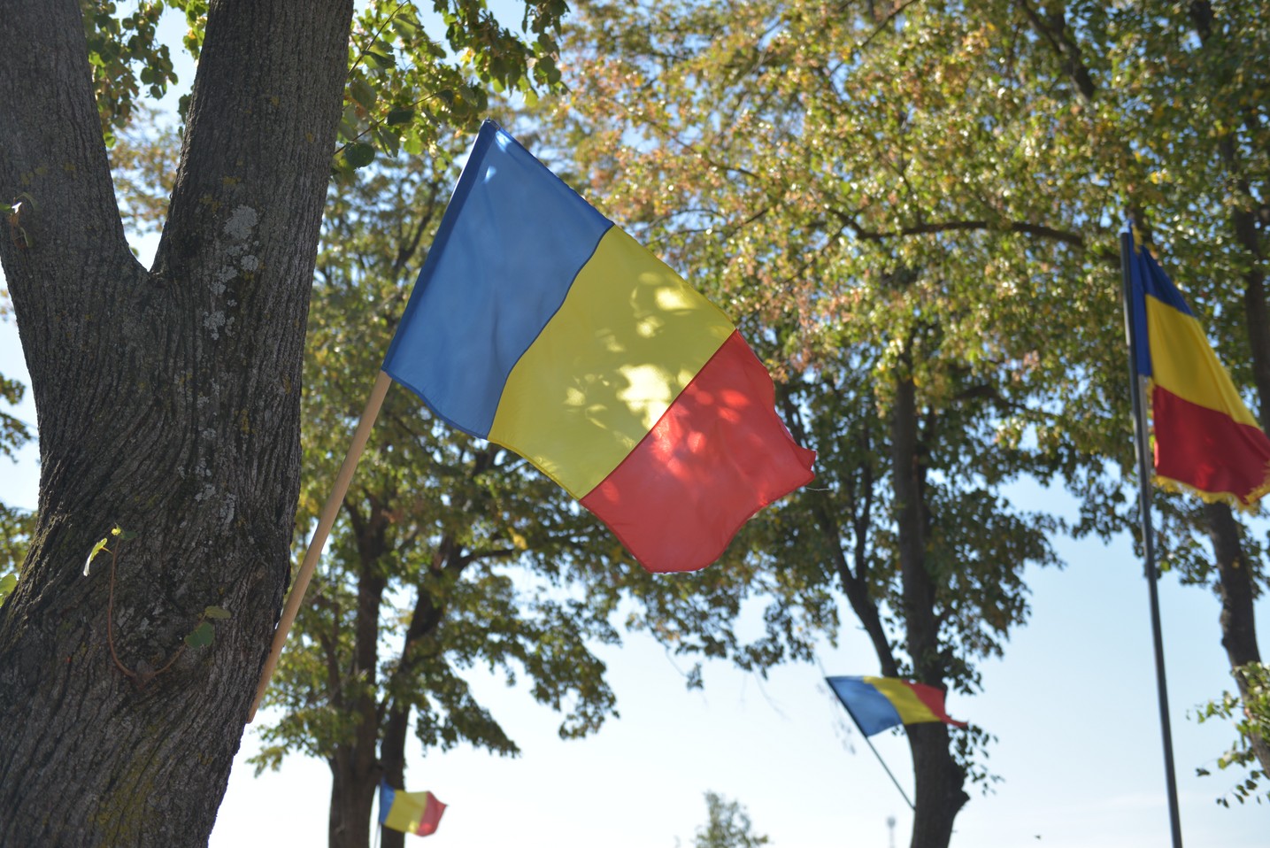 Ceremonie religioasă și militară la Cimitirul Militar Maxut: „Românul adevărat este chemat să-și apere valorile legate de neam și de familie”