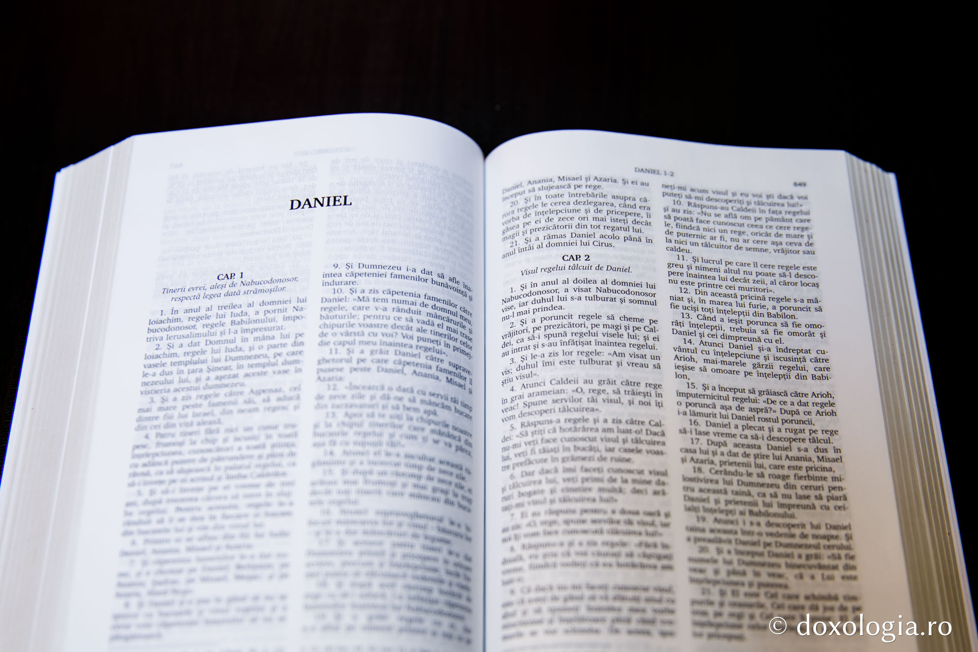 Daniel – Capitolul 4