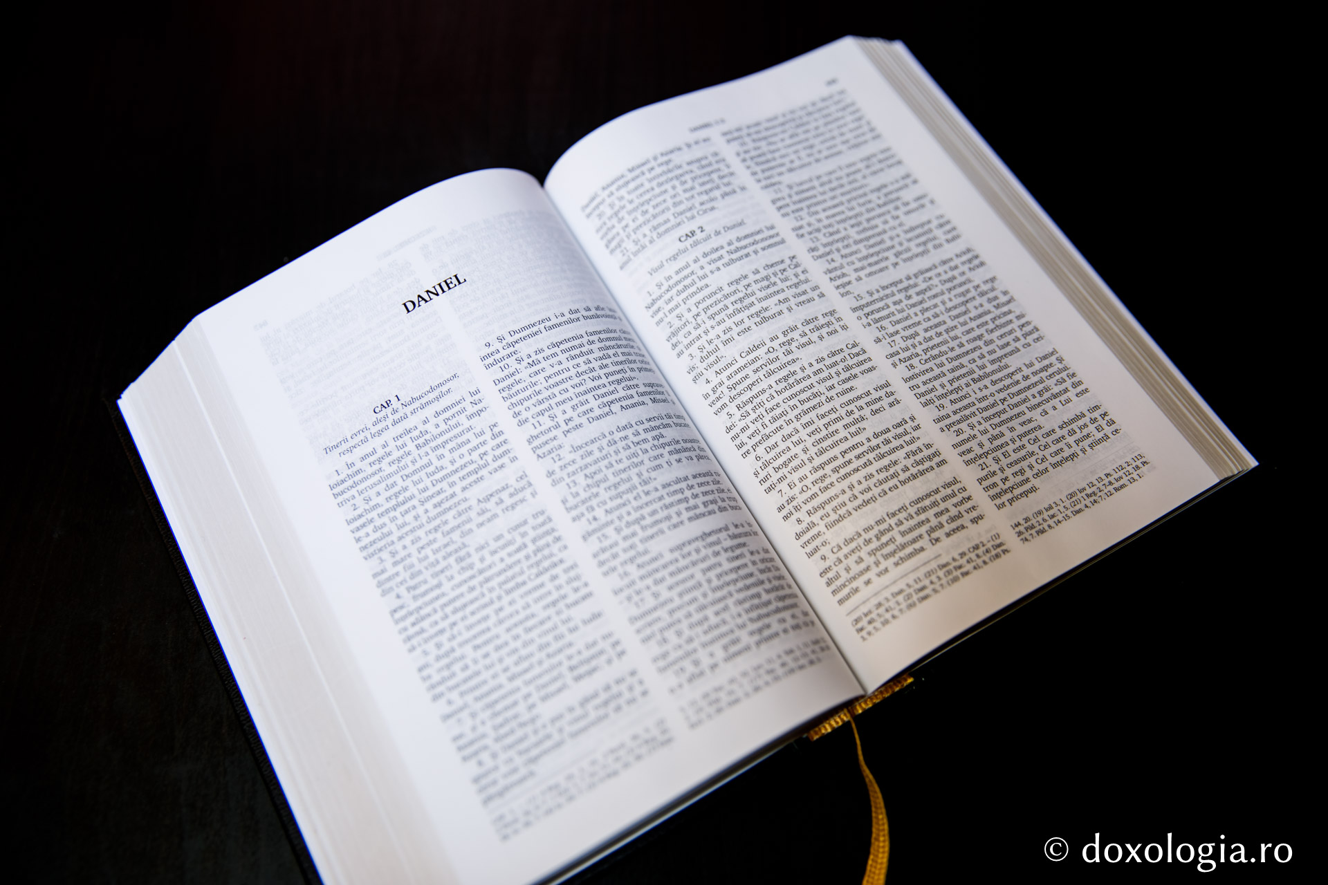 Daniel – Capitolul 5