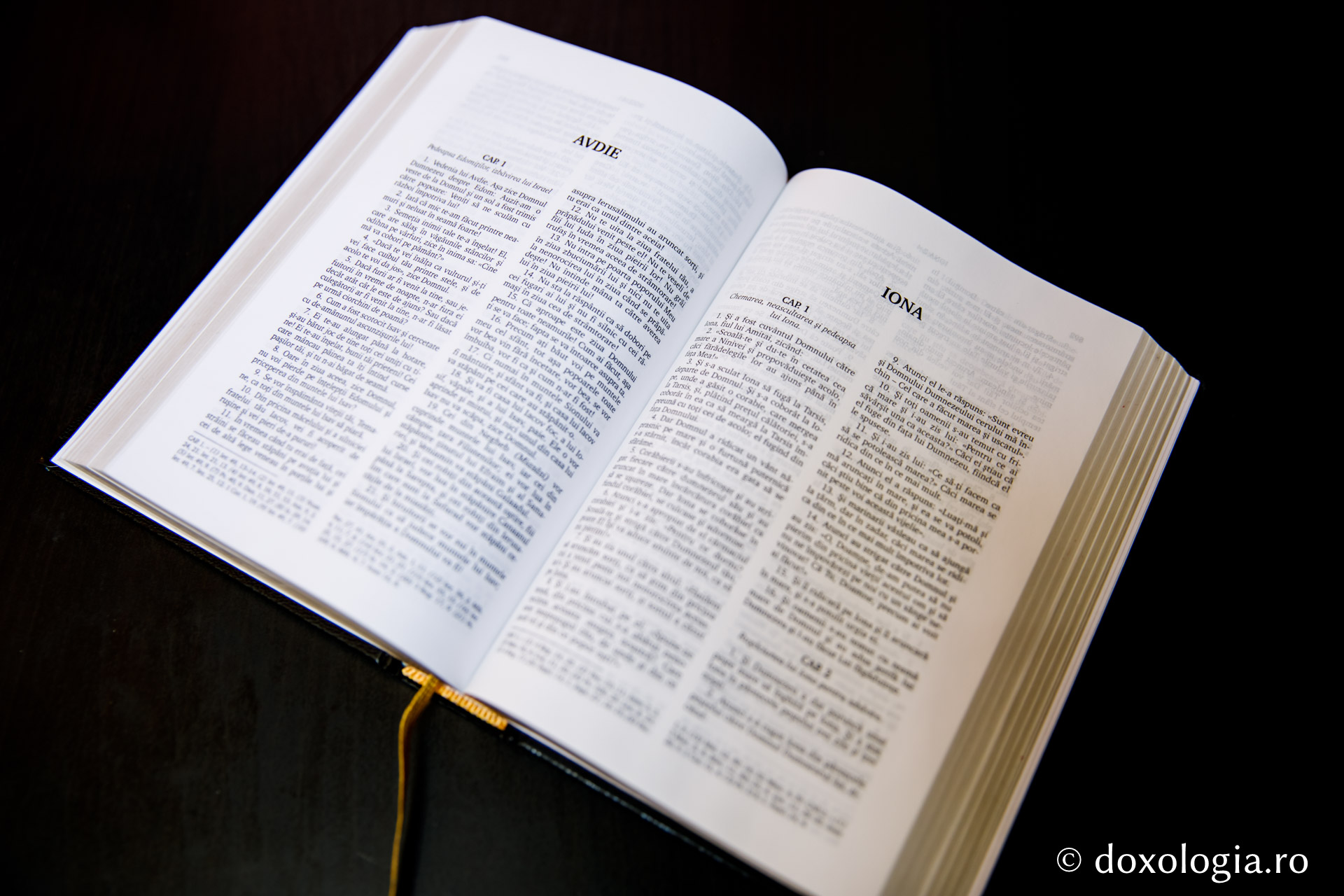 Iona – Capitolul 4