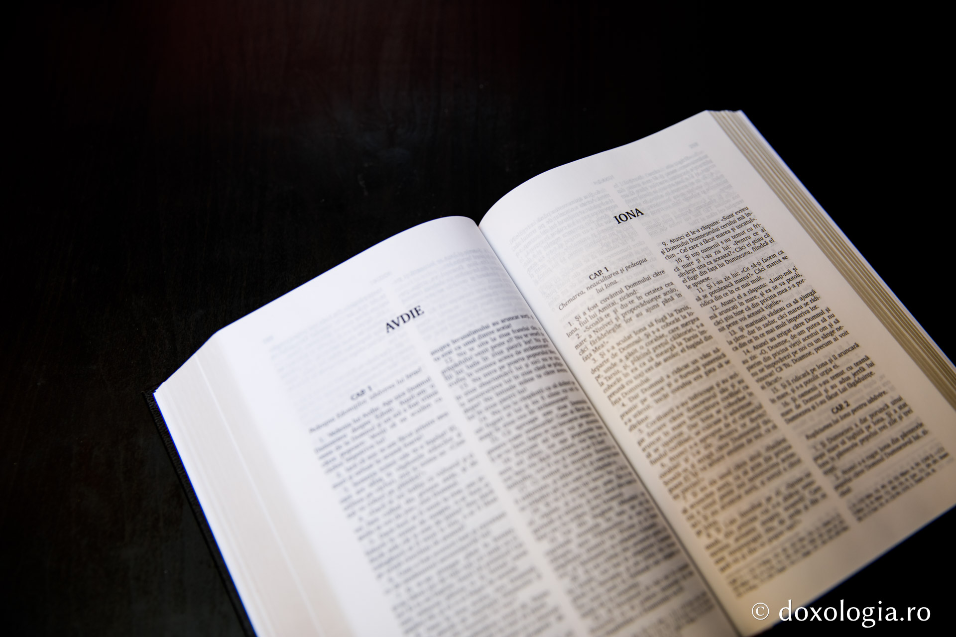 Iona – Capitolul 2