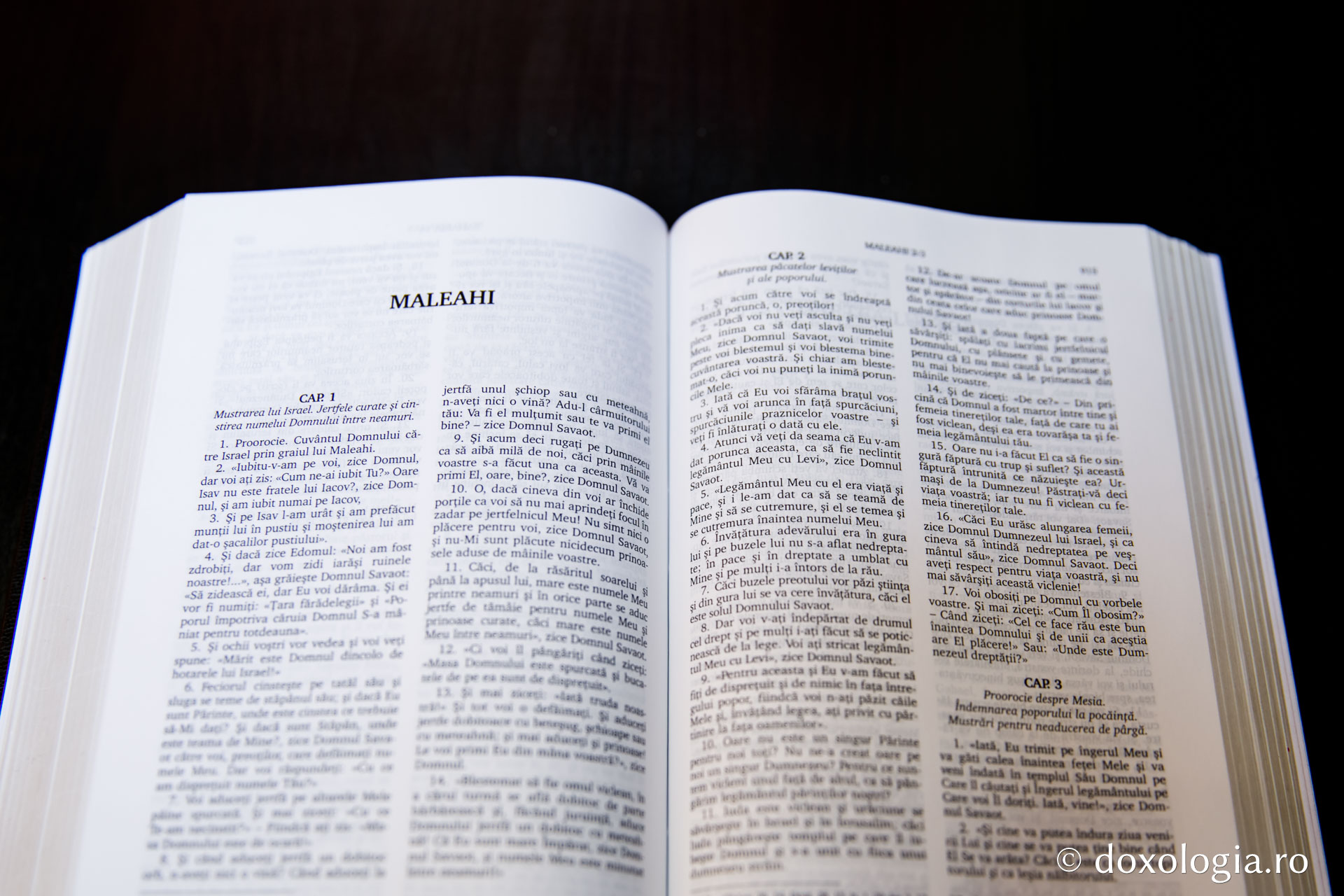 Maleahi – Capitolul 1