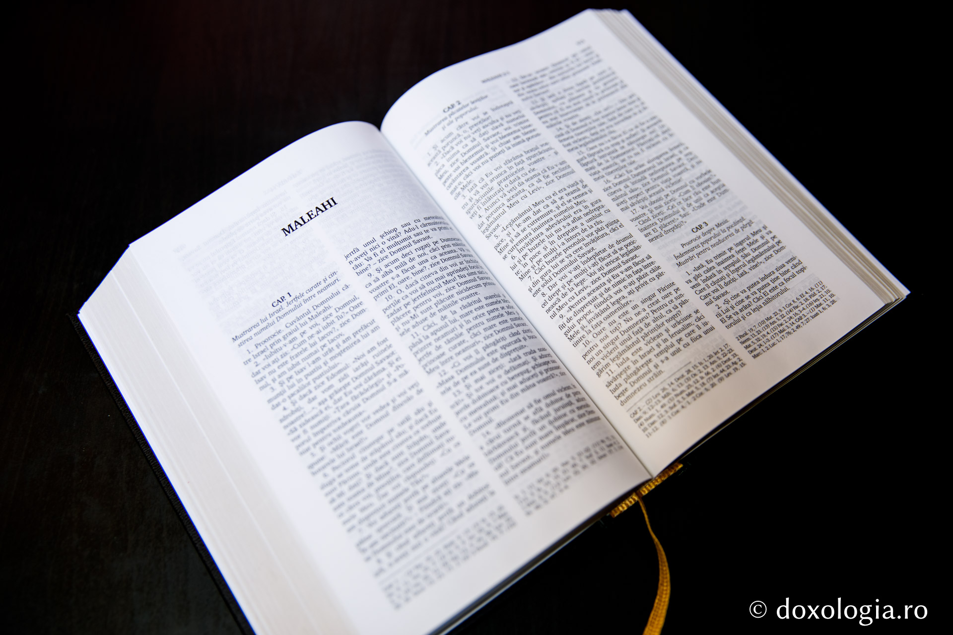 Maleahi – Capitolul 2