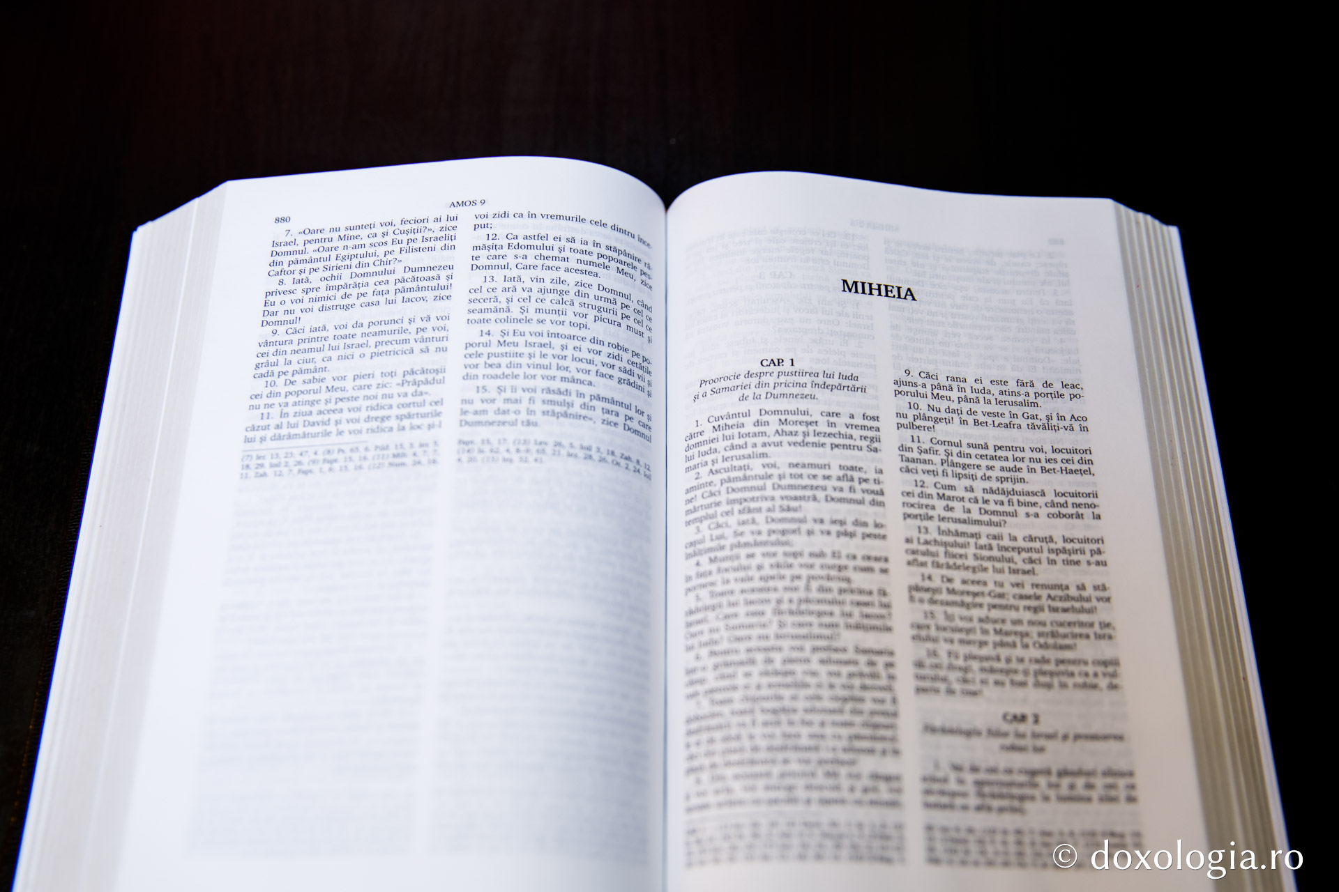 Miheia – Capitolul 4