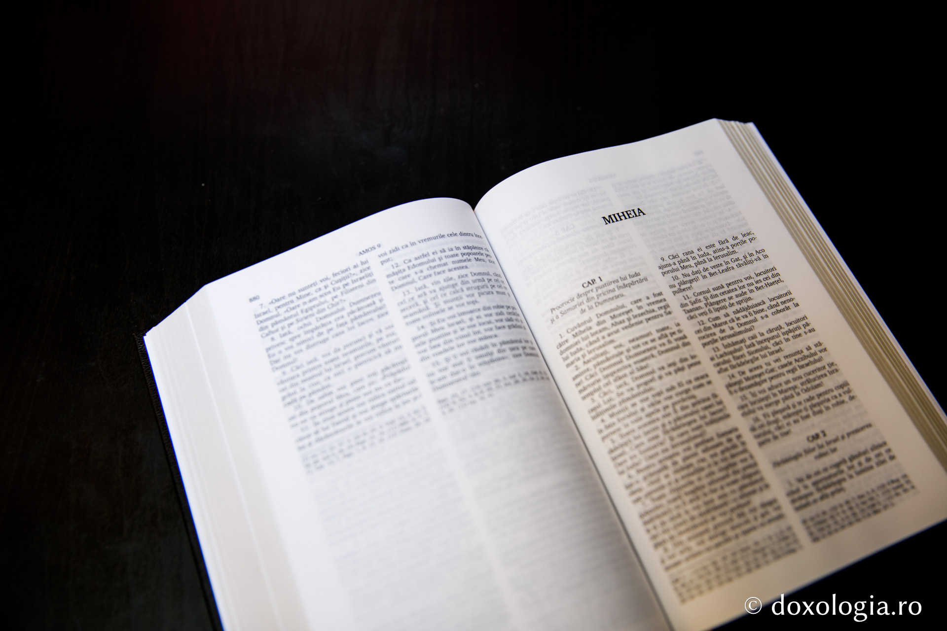 Miheia – Capitolul 3