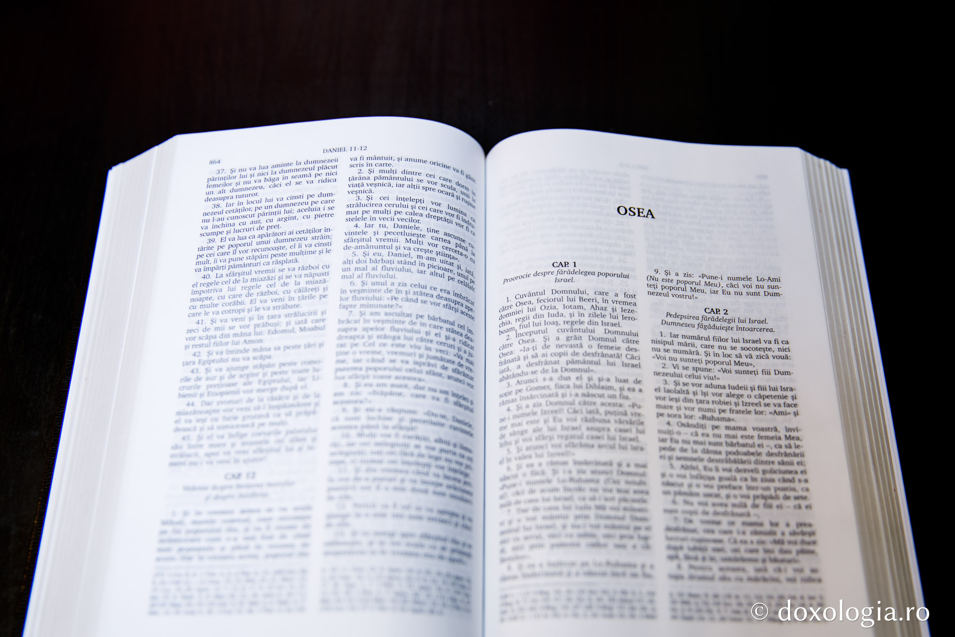 Osea – Capitolul 7