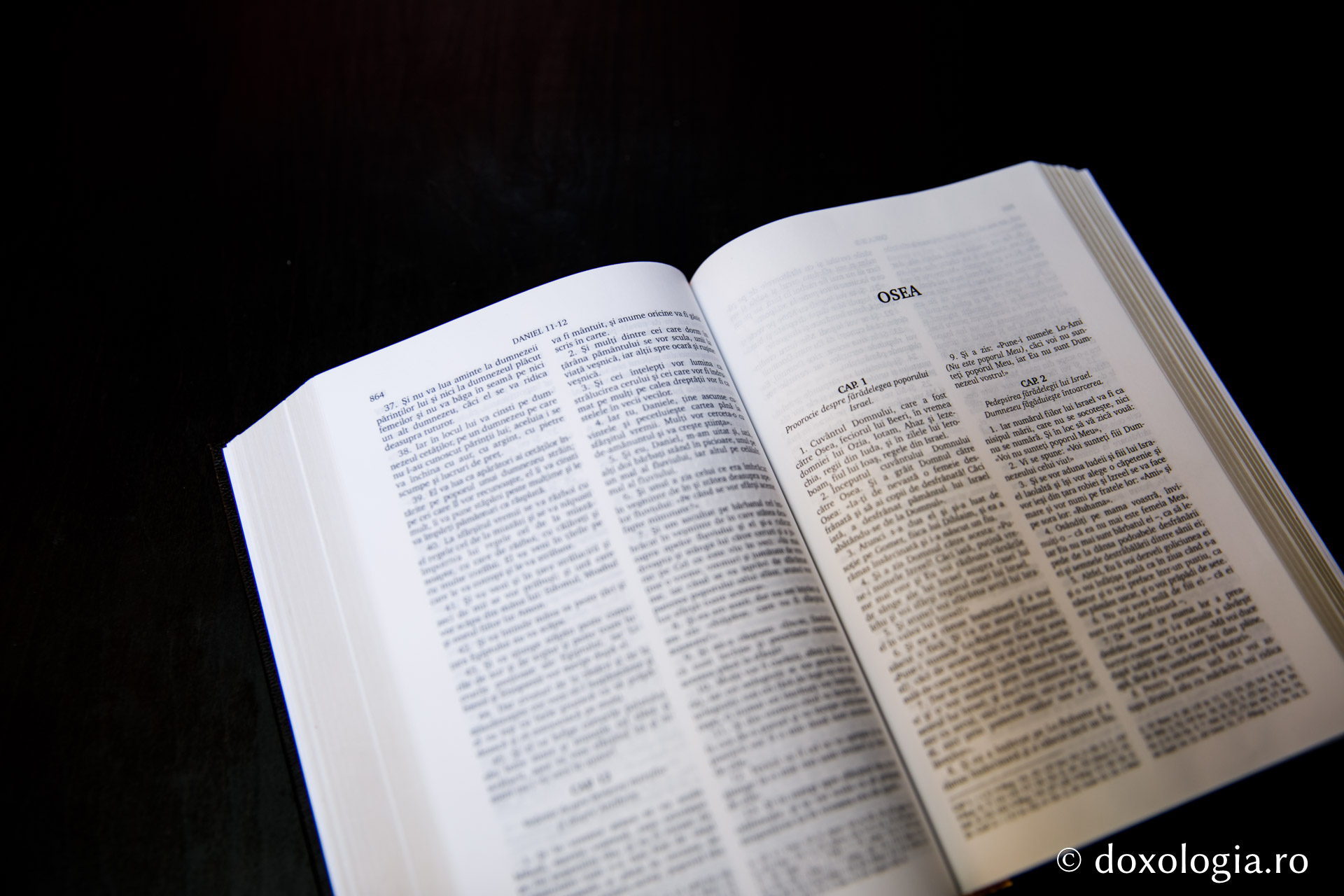 Osea – Capitolul 5