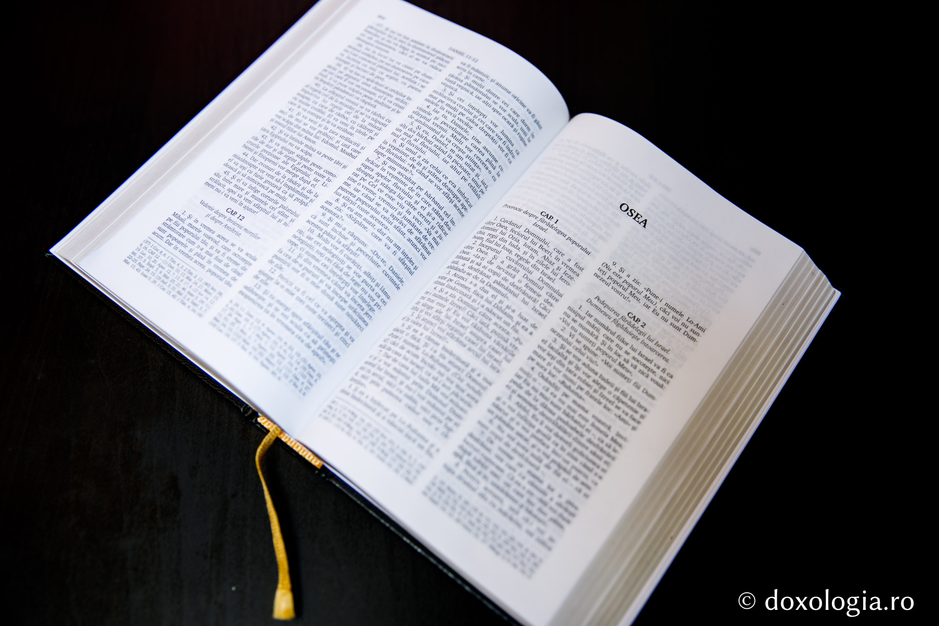 Osea – Capitolul 3