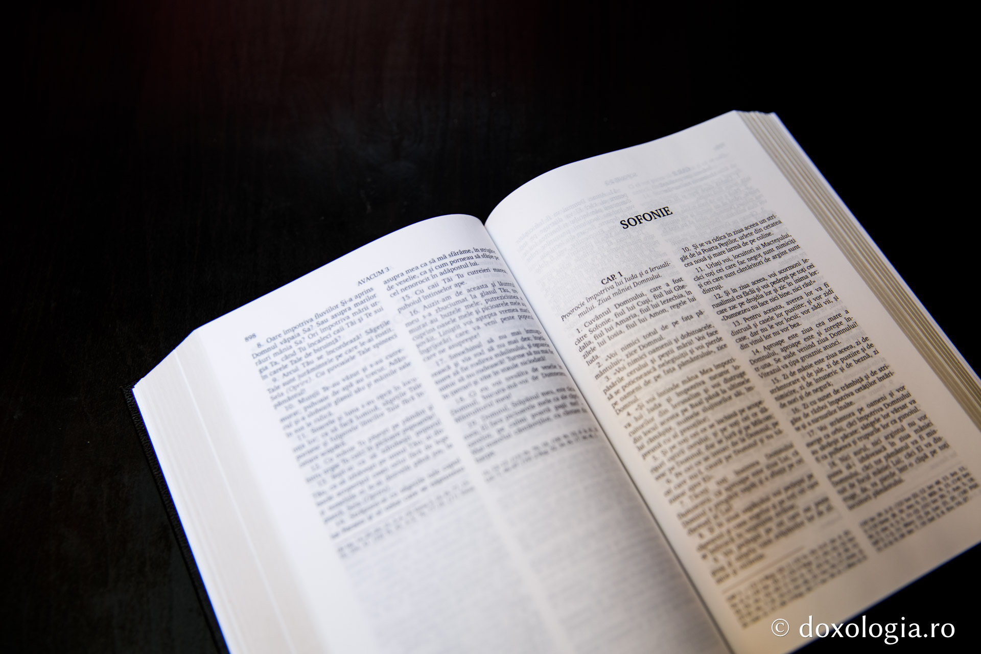 Sofonie – Capitolul 3