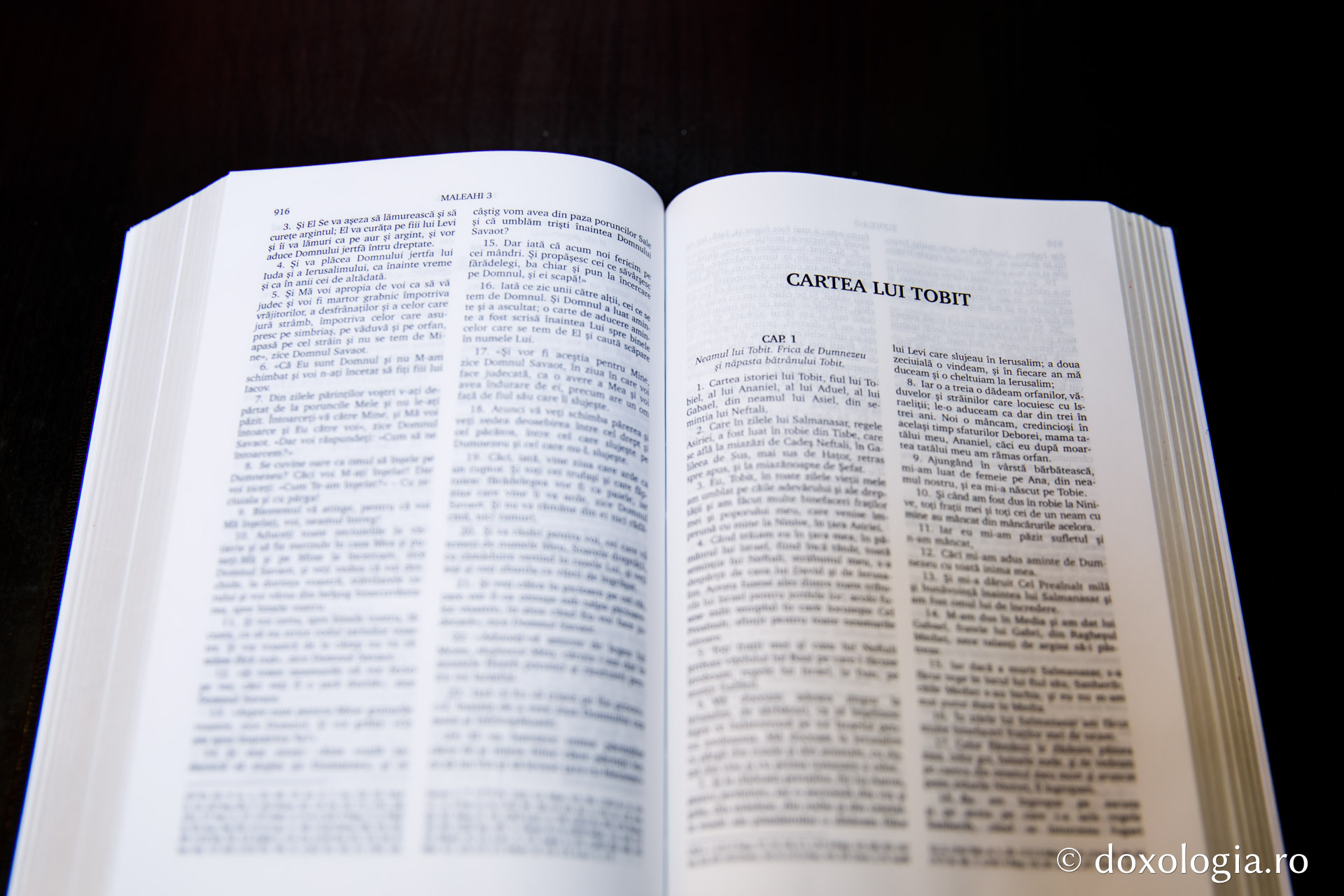 Cartea lui Tobit – Capitolul 4