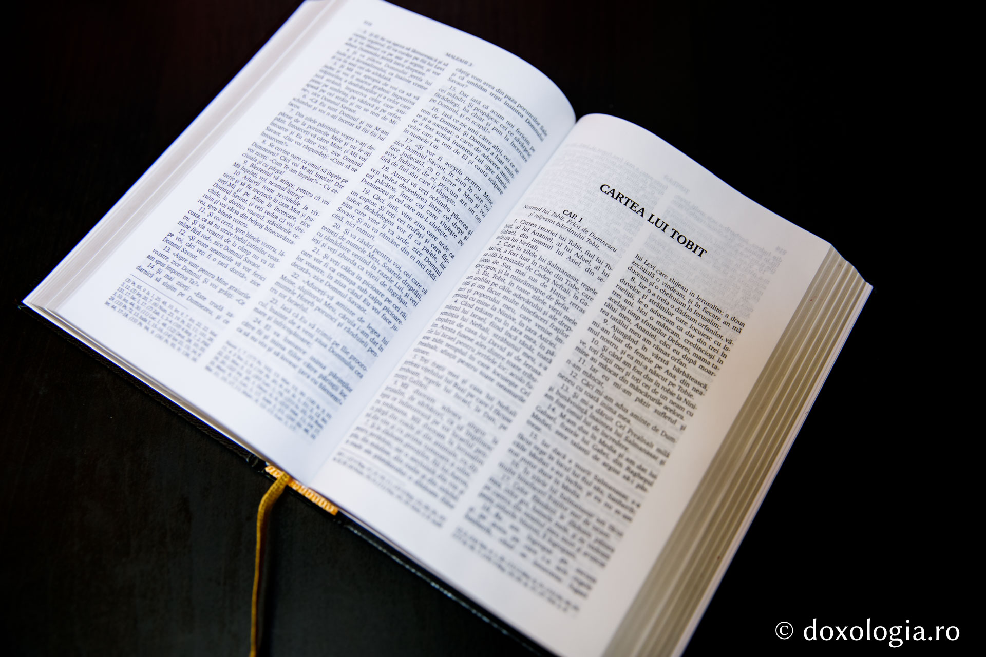Cartea lui Tobit – Capitolul 5
