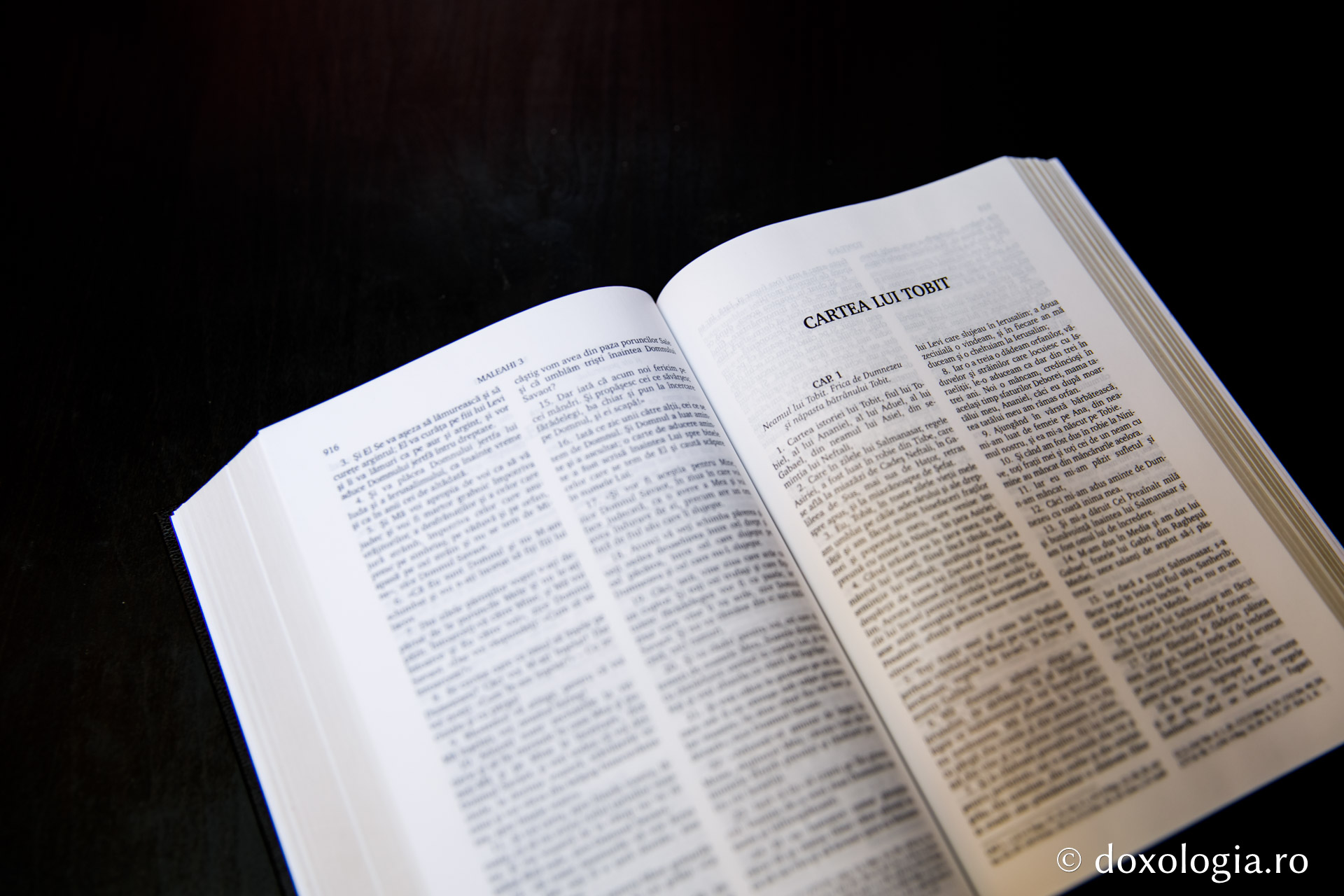Cartea lui Tobit – Capitolul 6