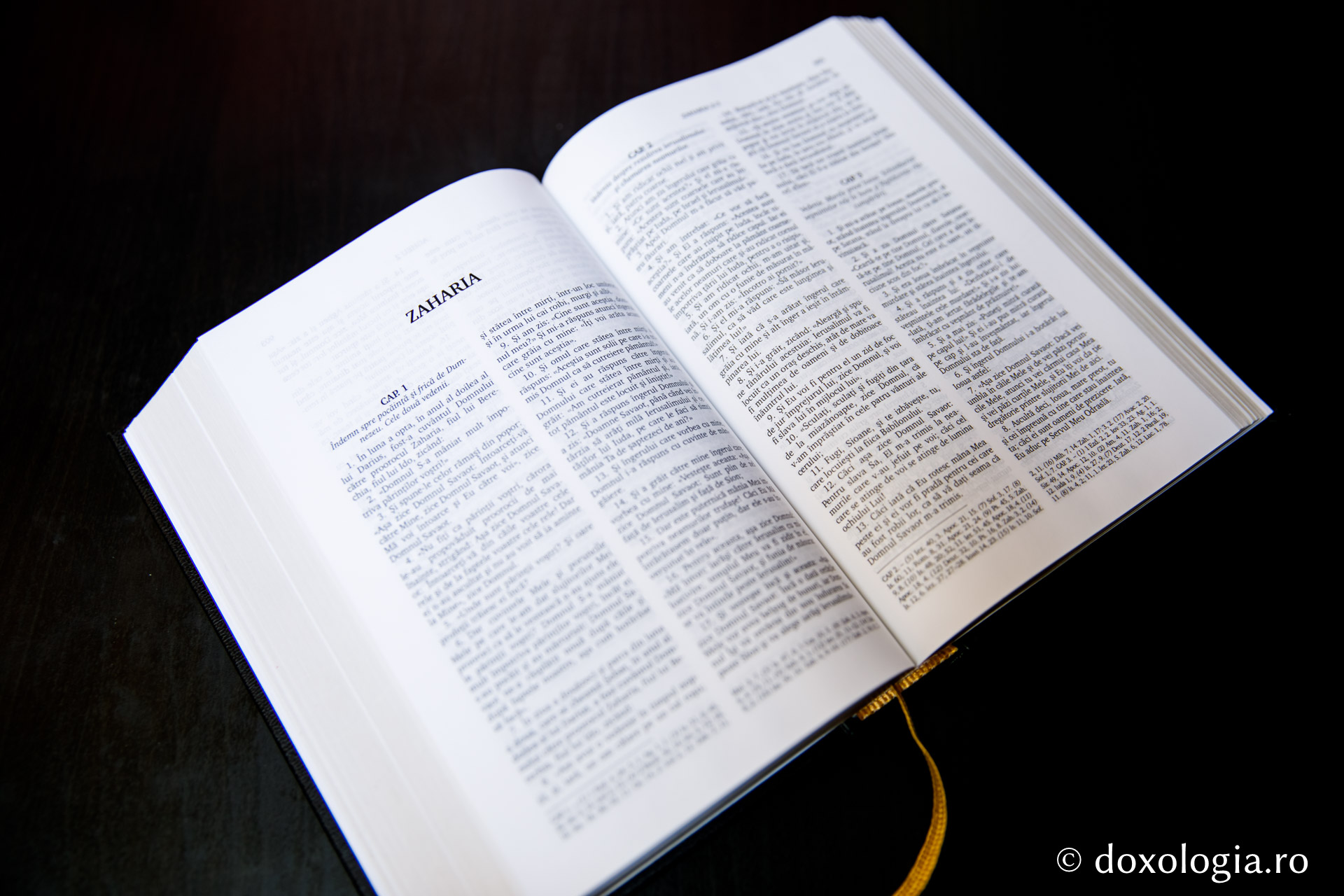 Zaharia – Capitolul 2