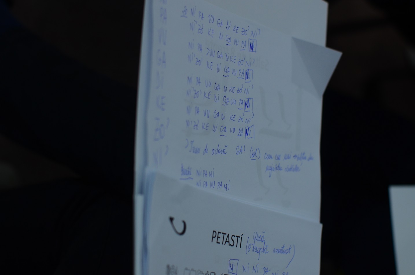 O nouă provocare ATOR Iaşi: cursuri de muzică psaltică