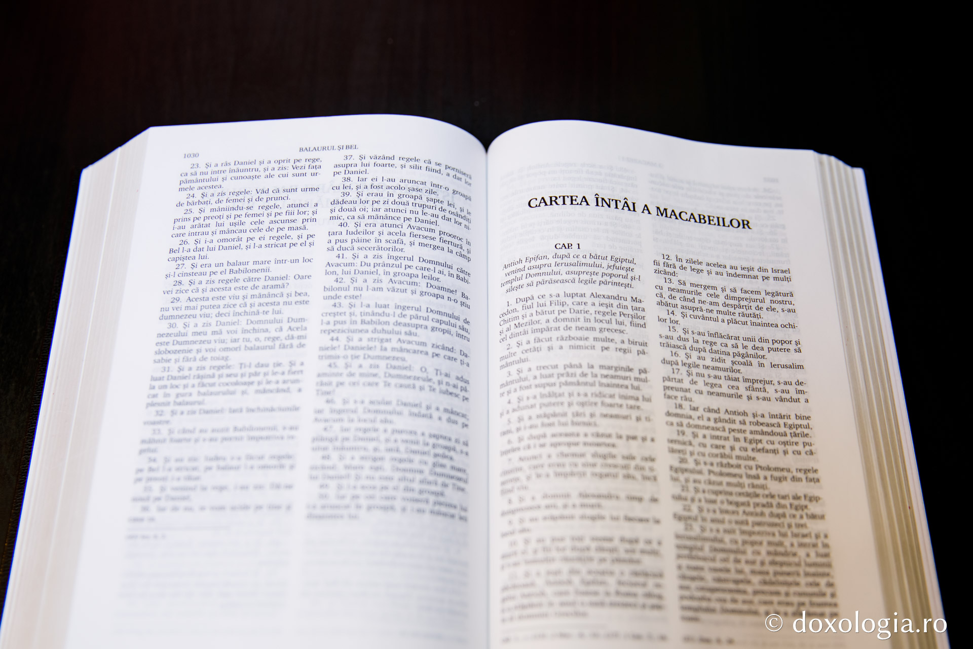 Cartea întâi a Macabeilor – Capitolul 4