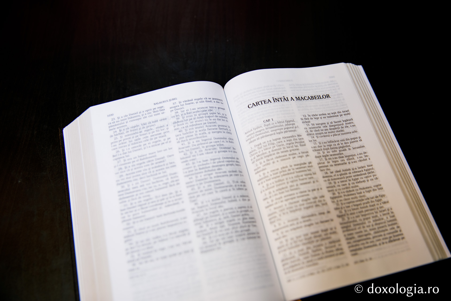 Cartea întâi a Macabeilor – Capitolul 14